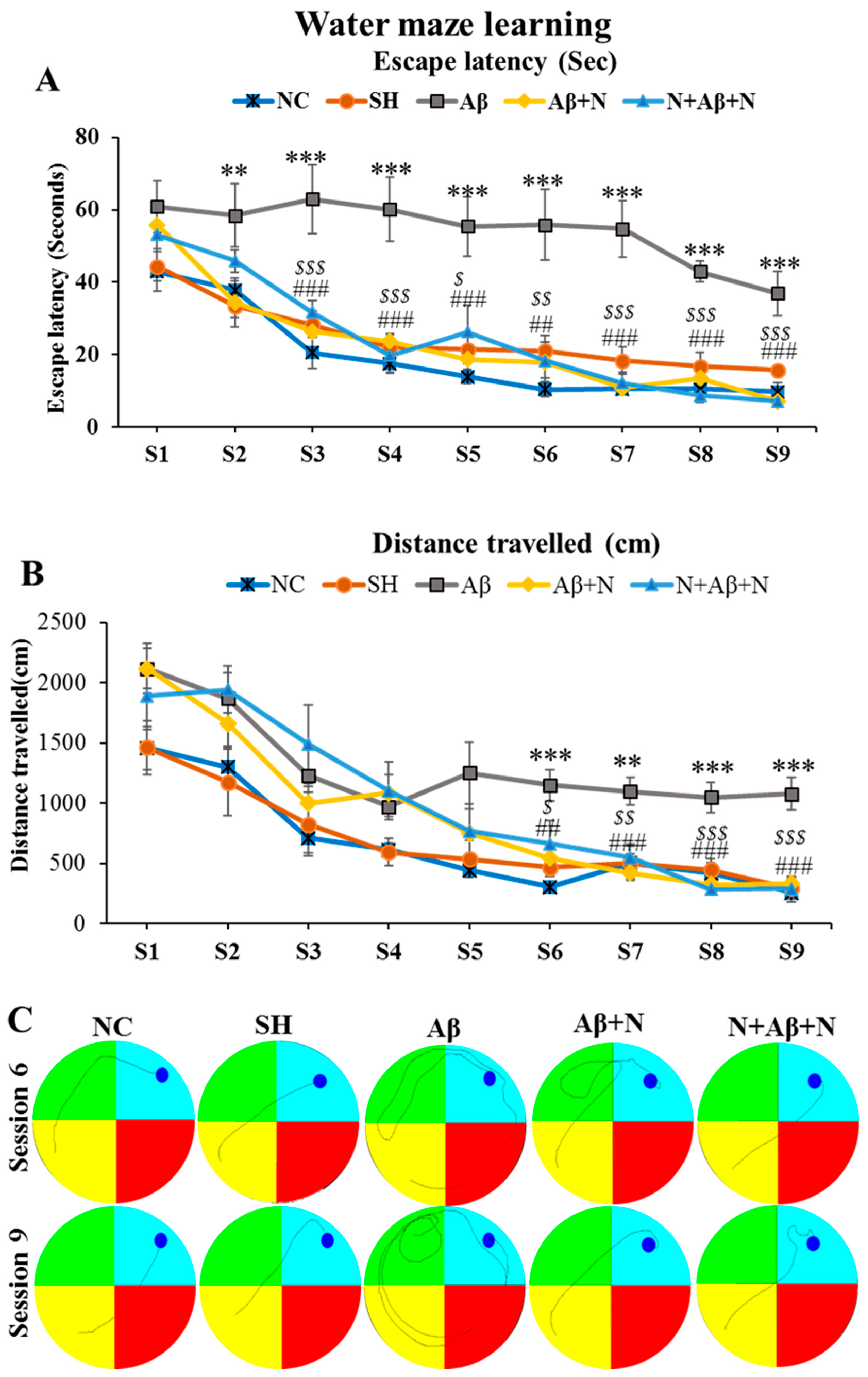 Ijms 24 12733 g001 Ijms 24 12733 g001