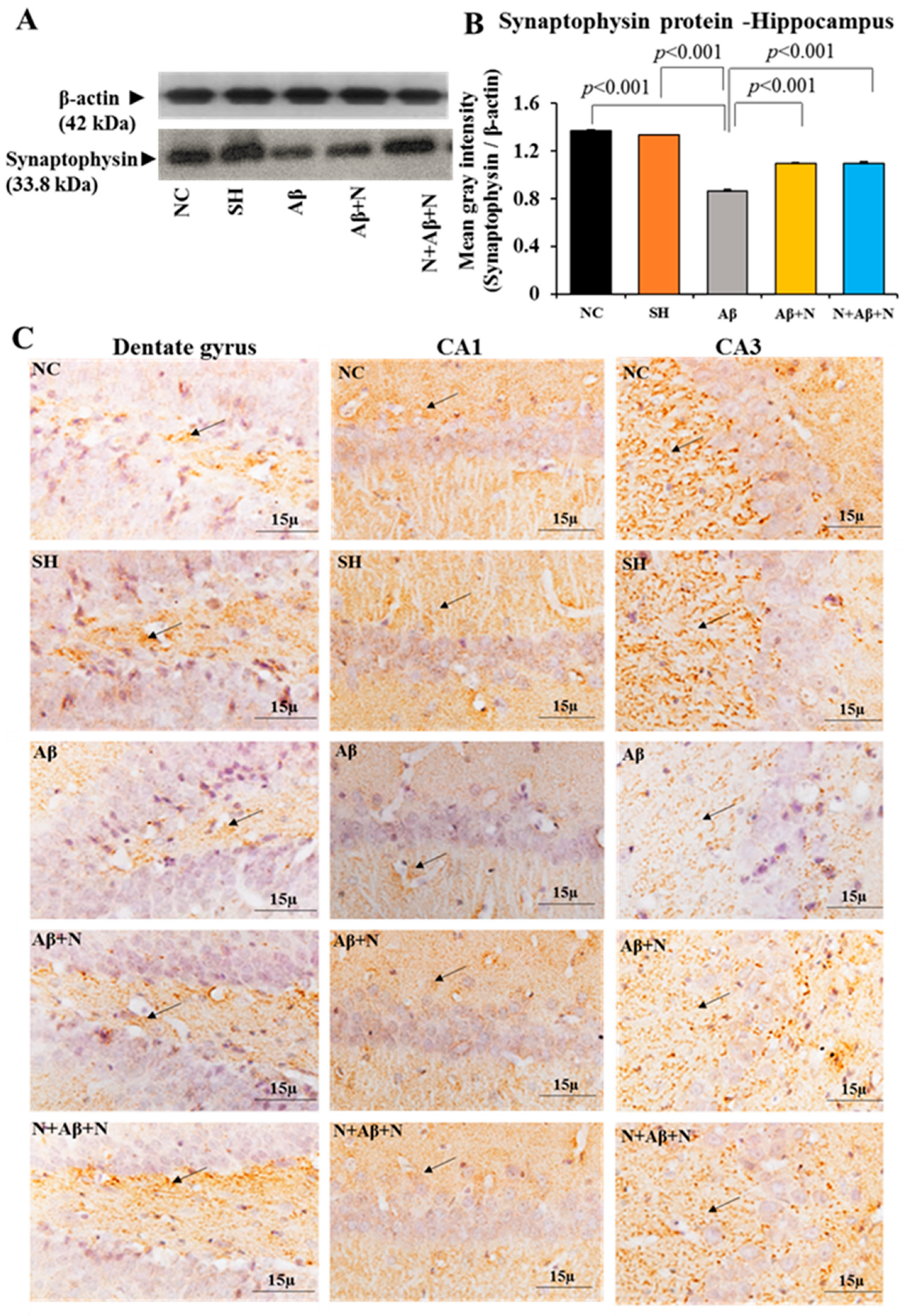 Ijms 24 12733 g006 Ijms 24 12733 g006