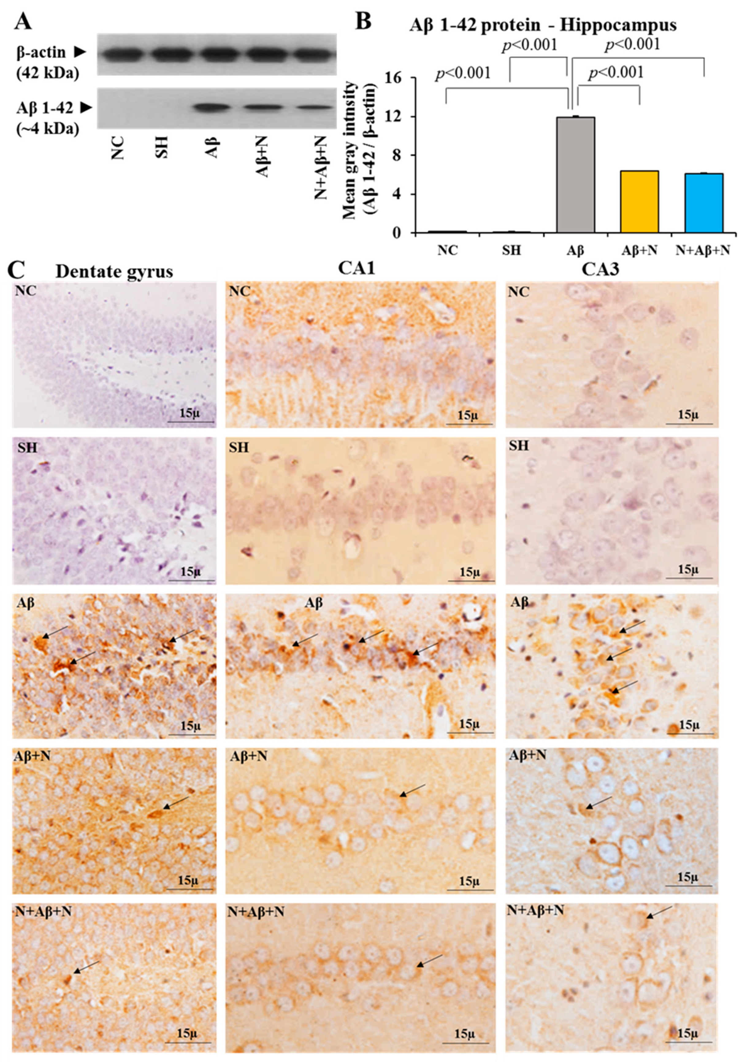Ijms 24 12733 g008 Ijms 24 12733 g008