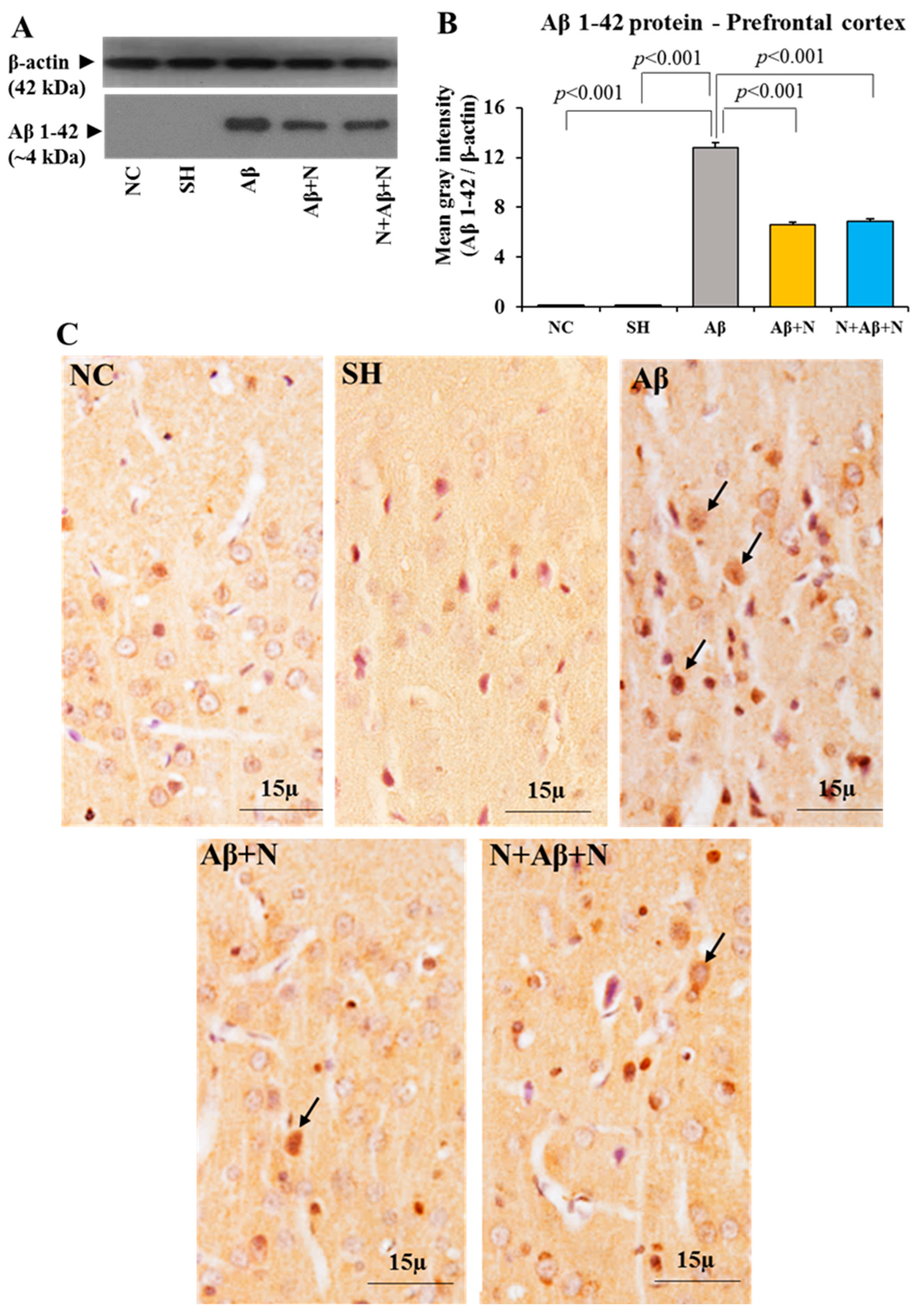 Ijms 24 12733 g009 Ijms 24 12733 g009