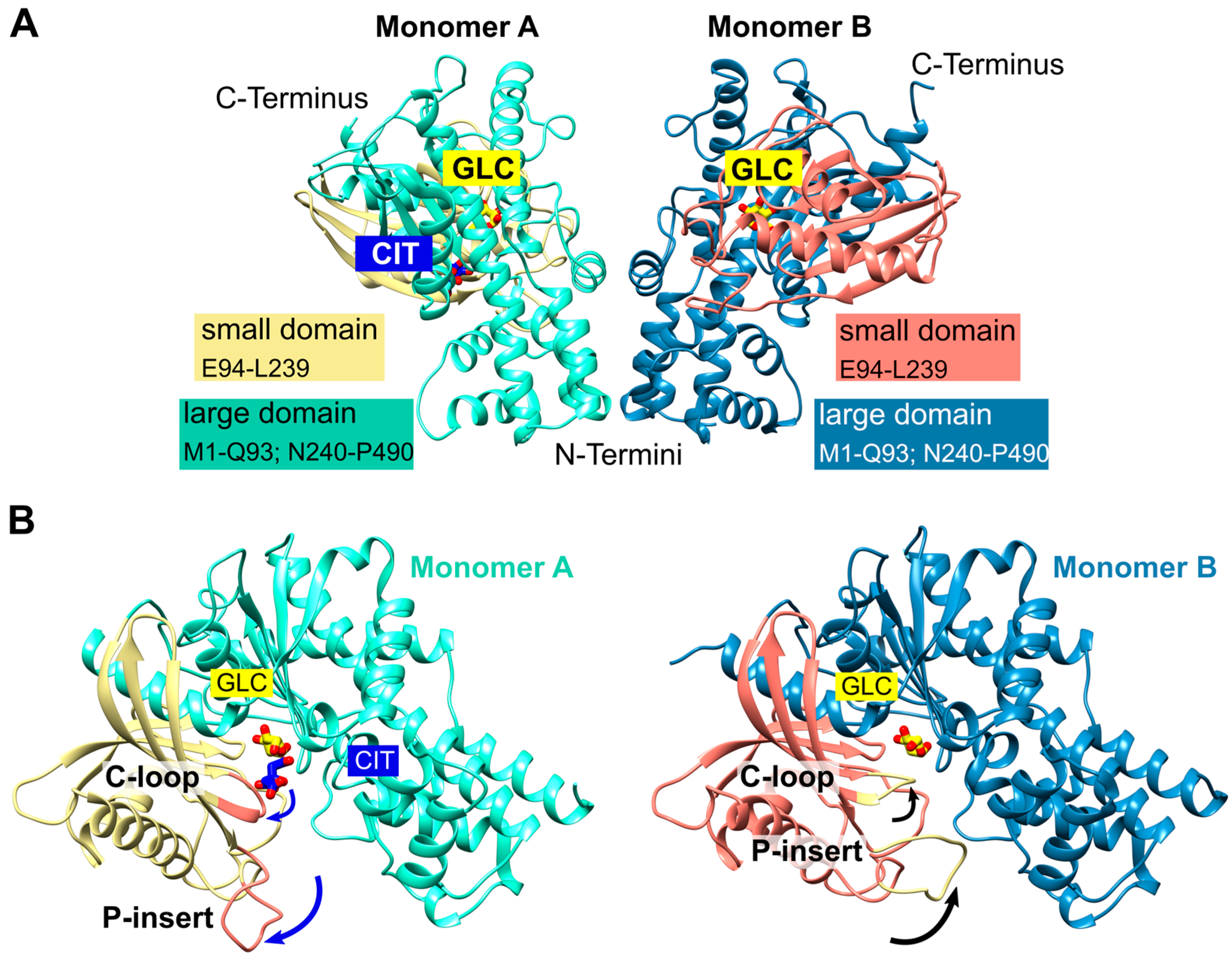 Ijms 24 12739 g001 Ijms 24 12739 g001