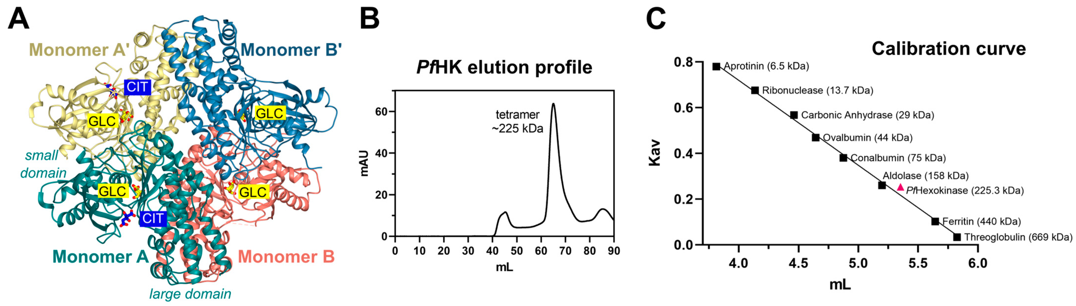 Ijms 24 12739 g006 Ijms 24 12739 g006