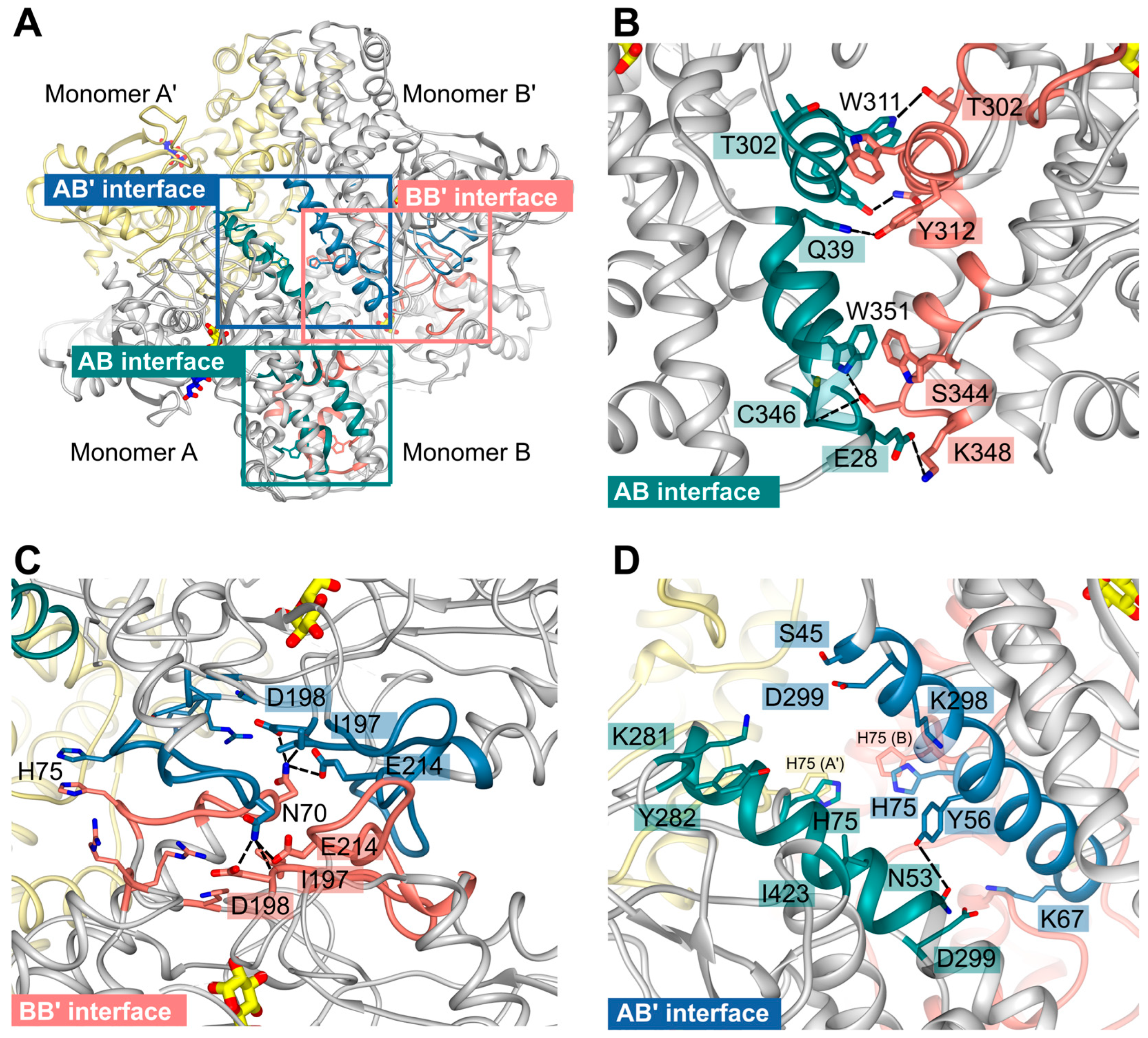 Ijms 24 12739 g007 Ijms 24 12739 g007