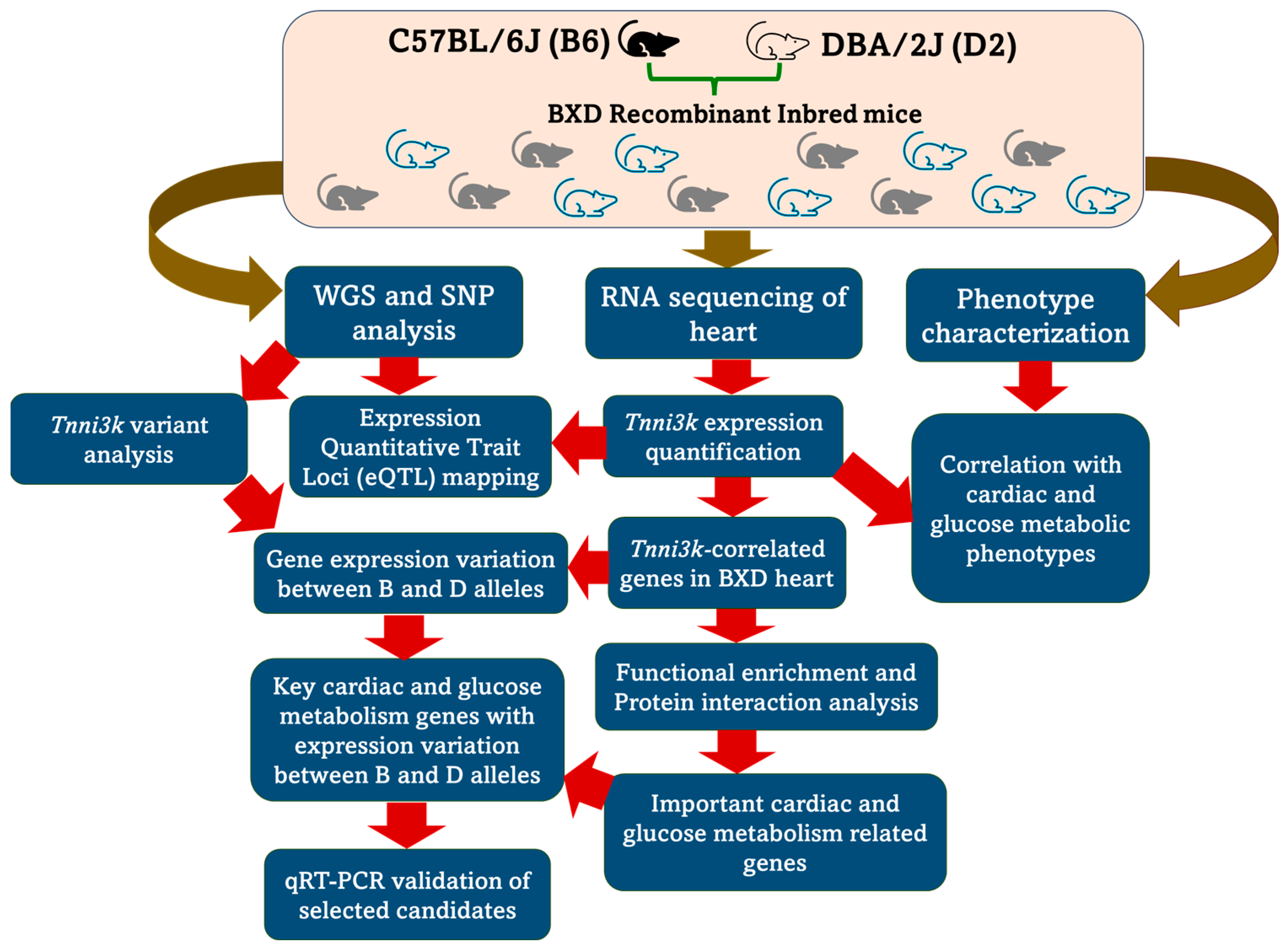 Ijms 24 12759 g001 Ijms 24 12759 g001