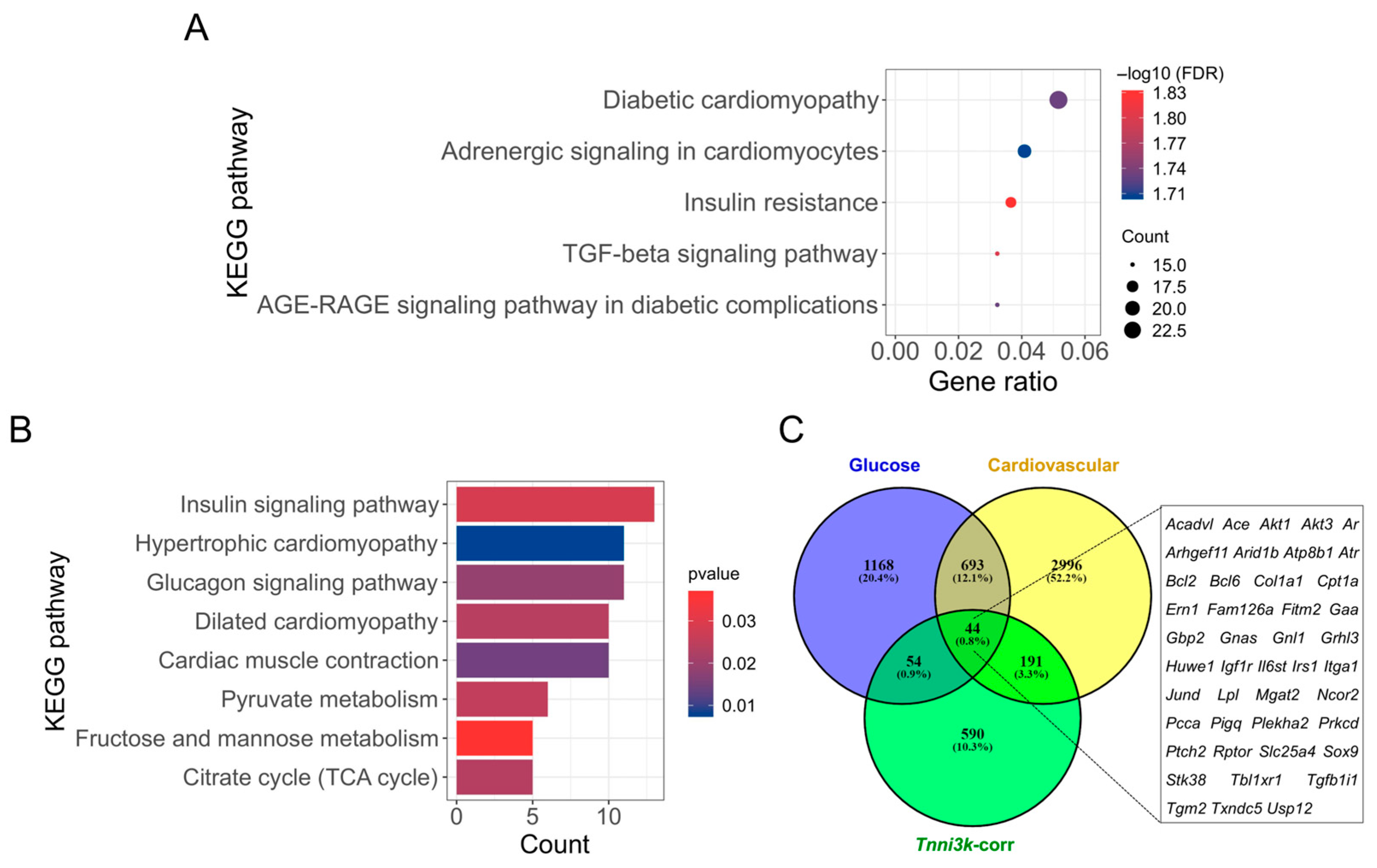 Ijms 24 12759 g004 Ijms 24 12759 g004