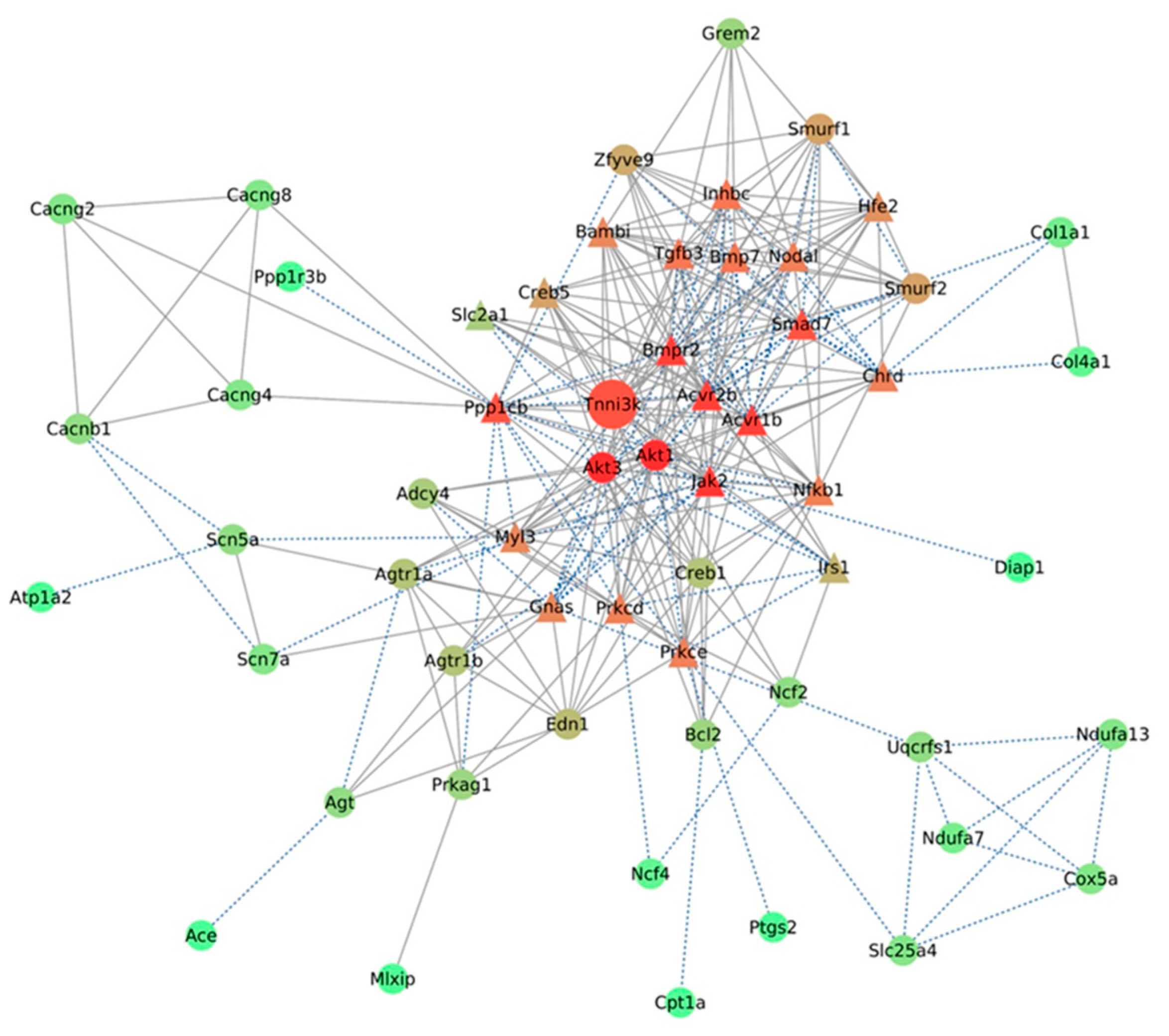 Ijms 24 12759 g005 Ijms 24 12759 g005