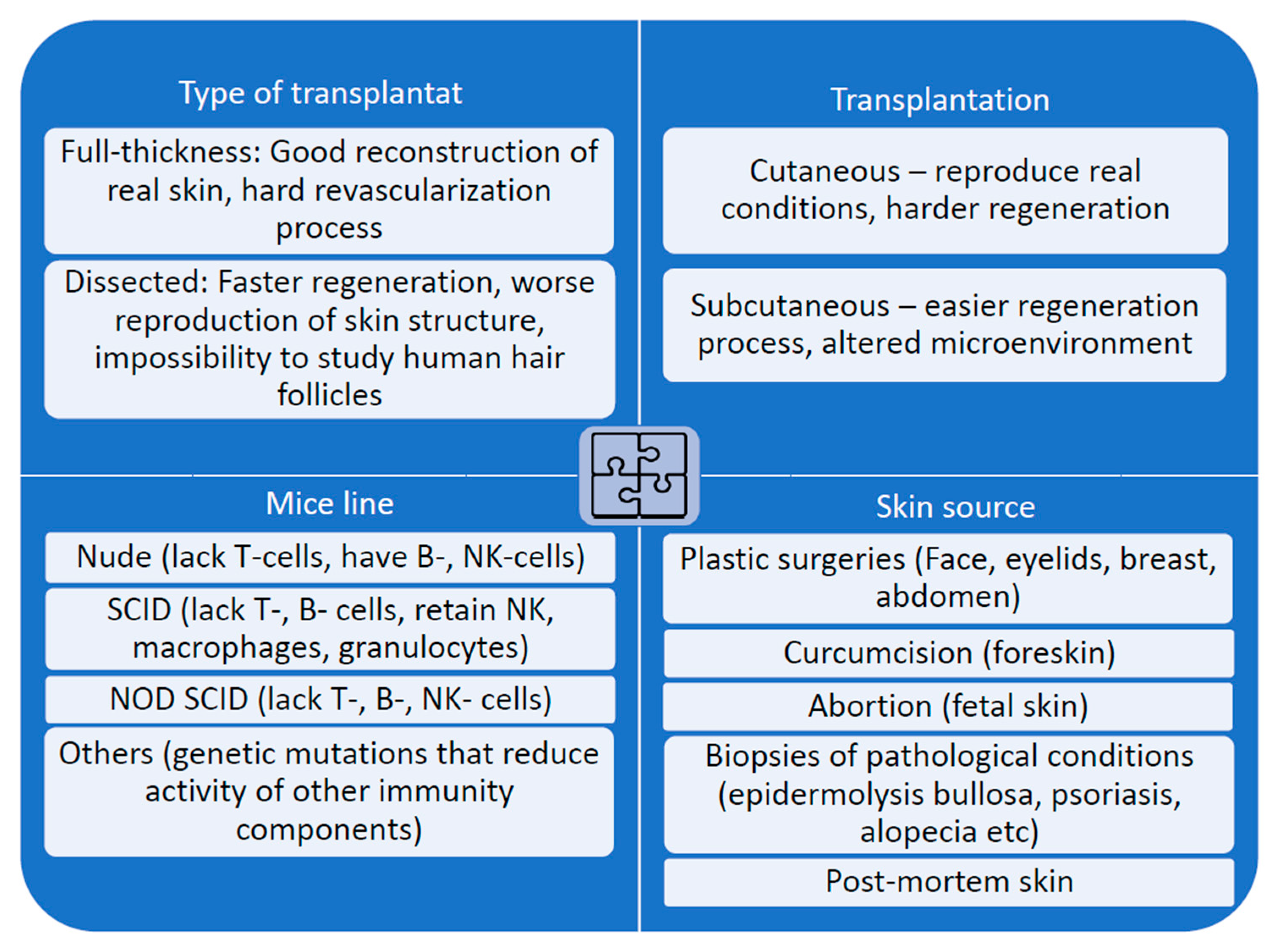Ijms 24 12769 g001 Ijms 24 12769 g001
