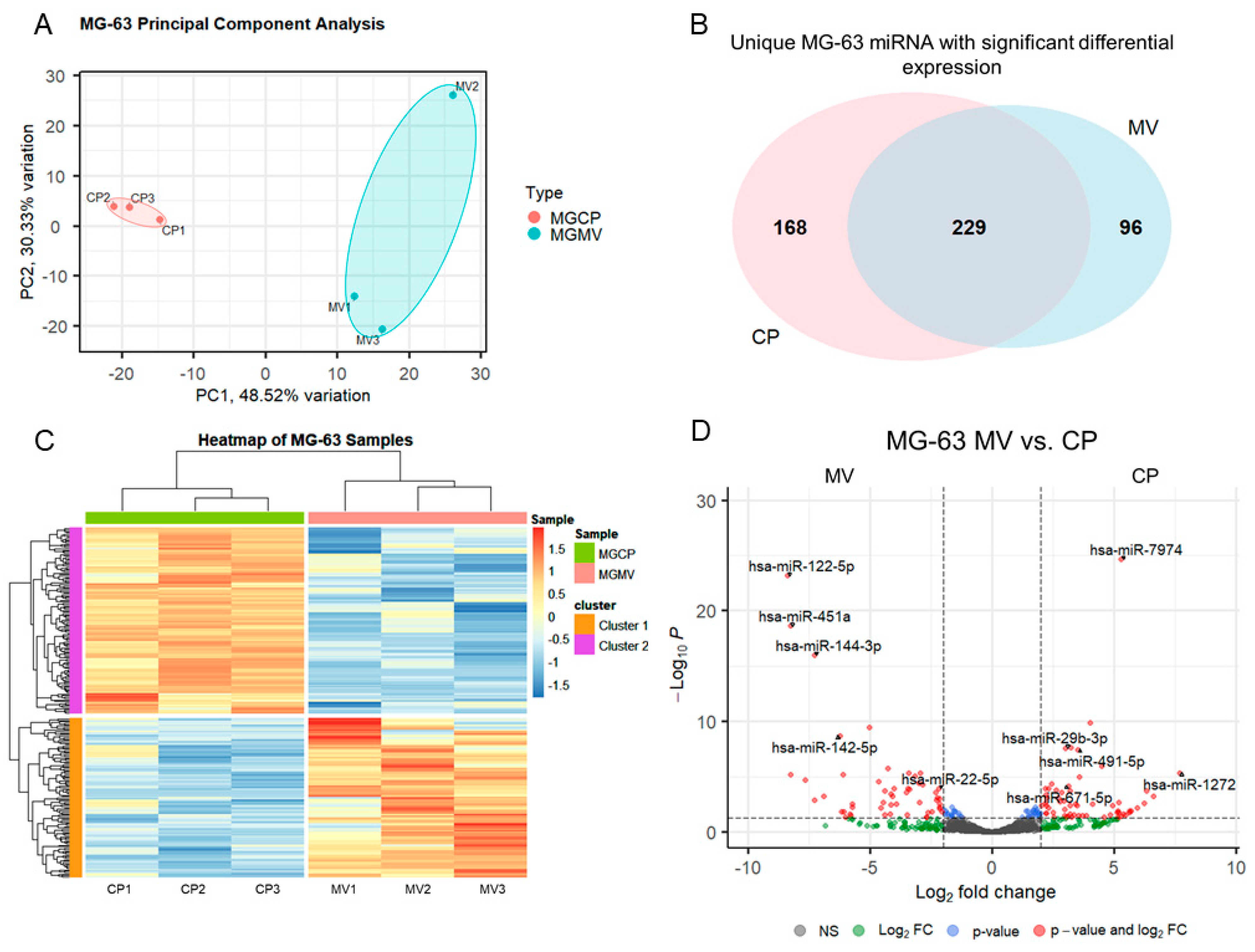 Ijms 24 12770 g002 Ijms 24 12770 g002