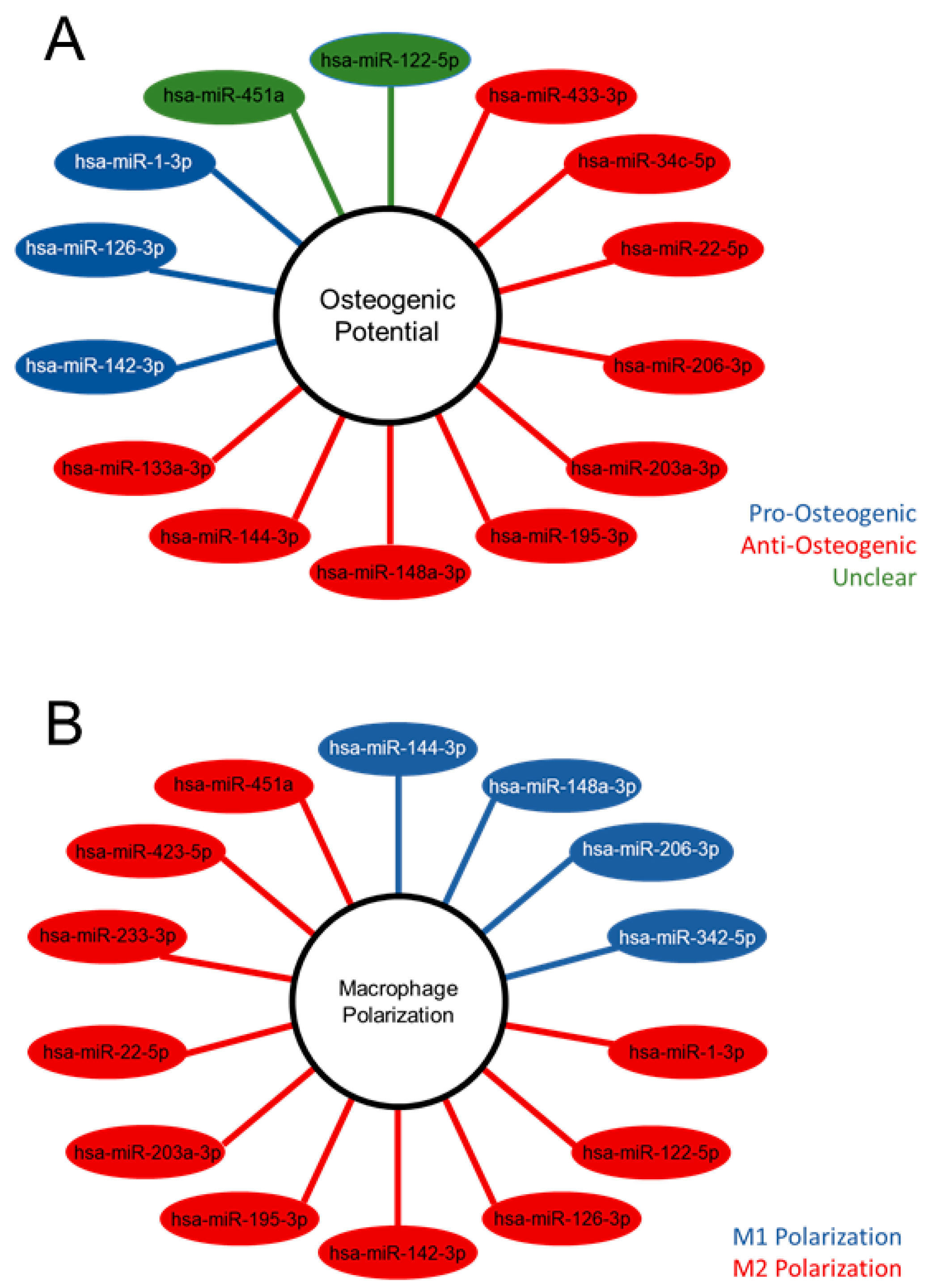 Ijms 24 12770 g003 Ijms 24 12770 g003