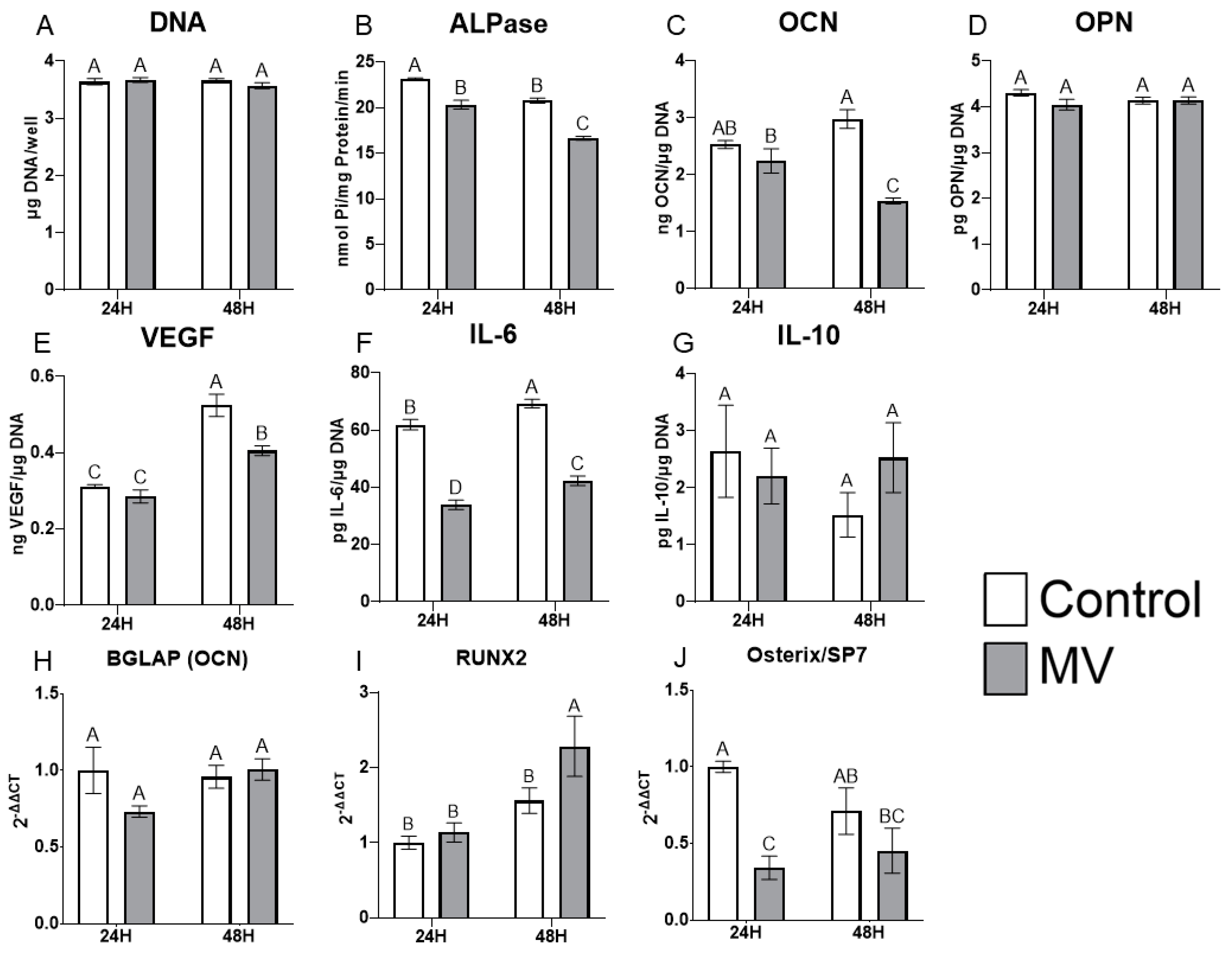 Ijms 24 12770 g004 Ijms 24 12770 g004