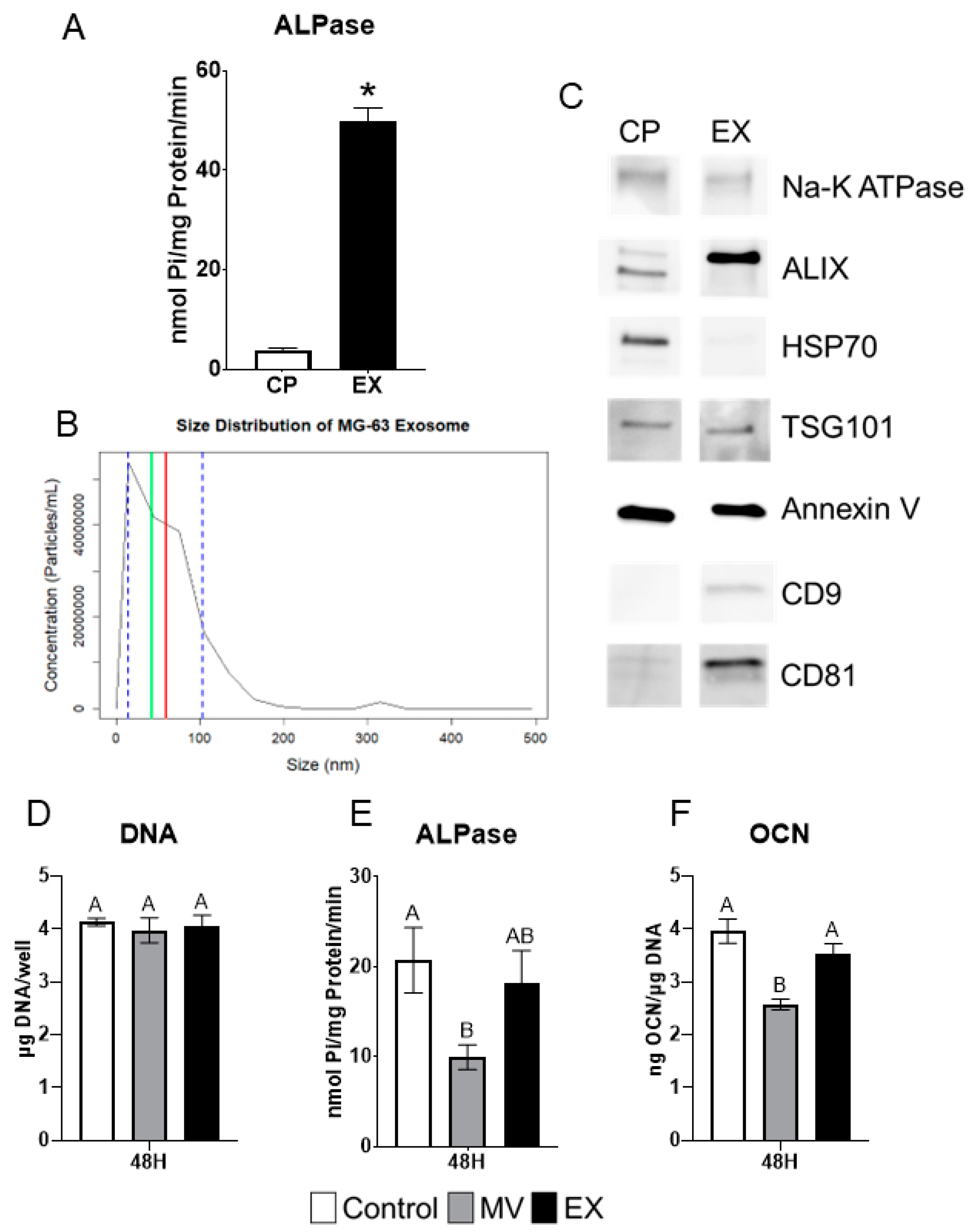 Ijms 24 12770 g006 Ijms 24 12770 g006