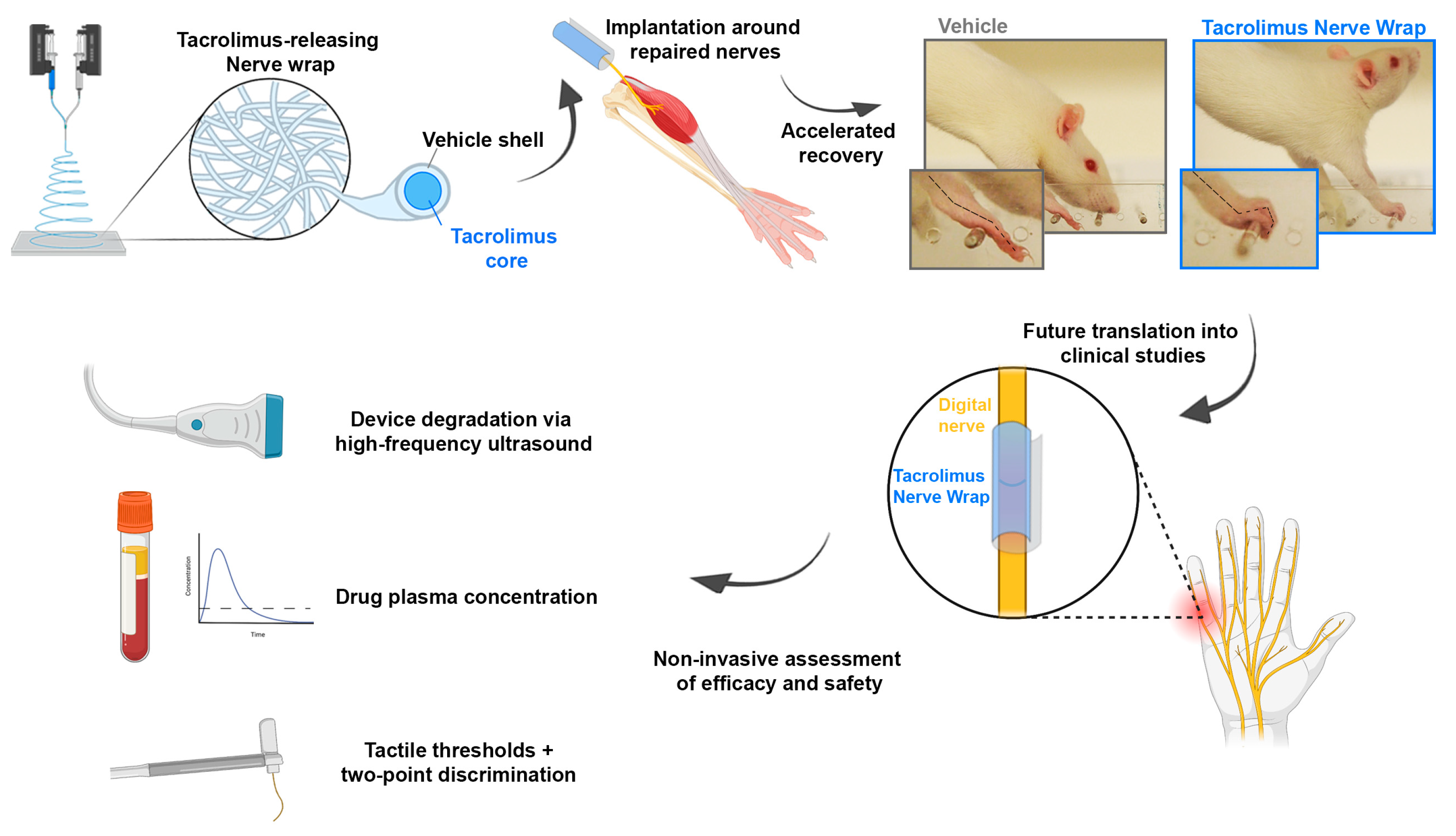 Ijms 24 12771 g001 Ijms 24 12771 g001