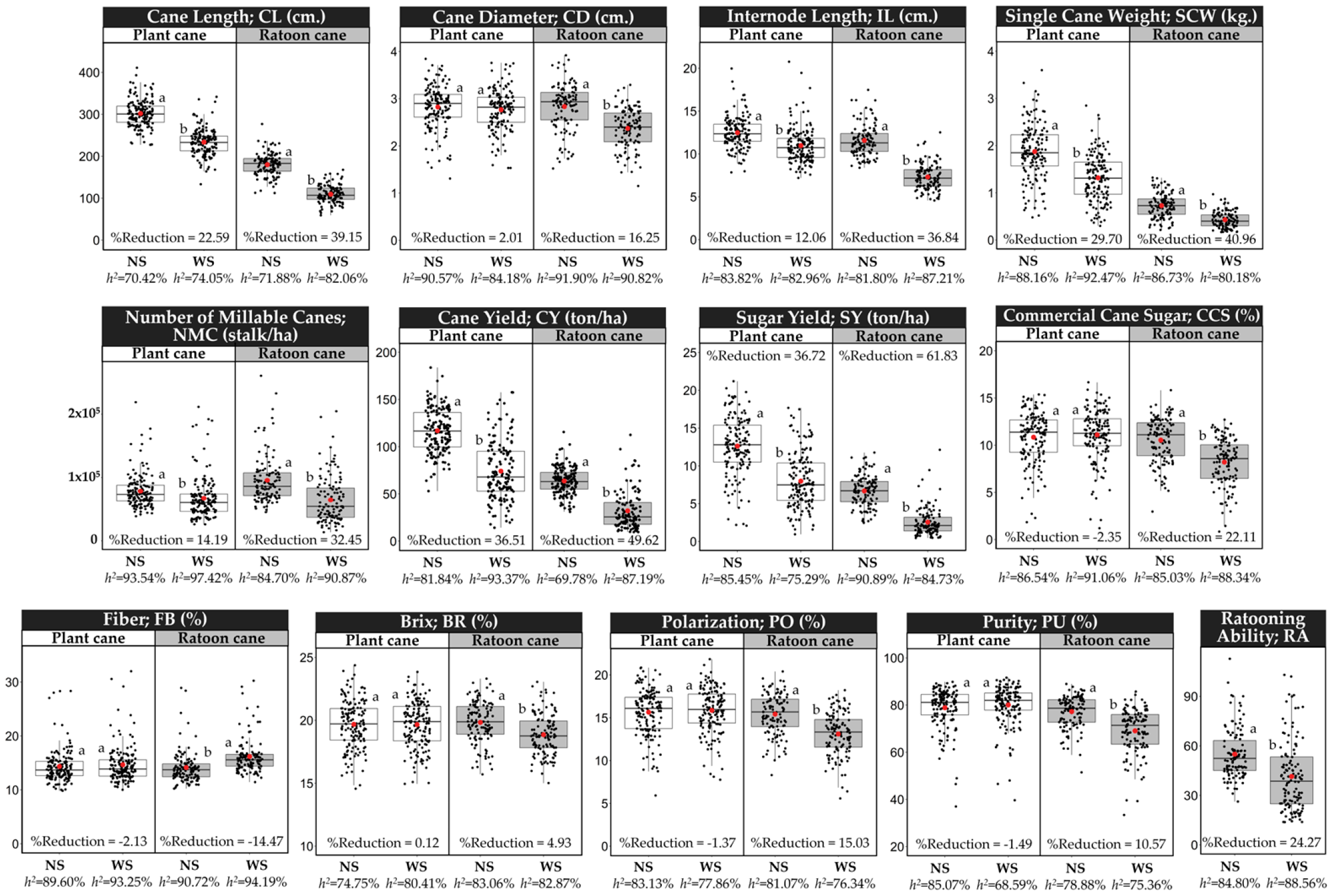 Ijms 24 12801 g001 Ijms 24 12801 g001