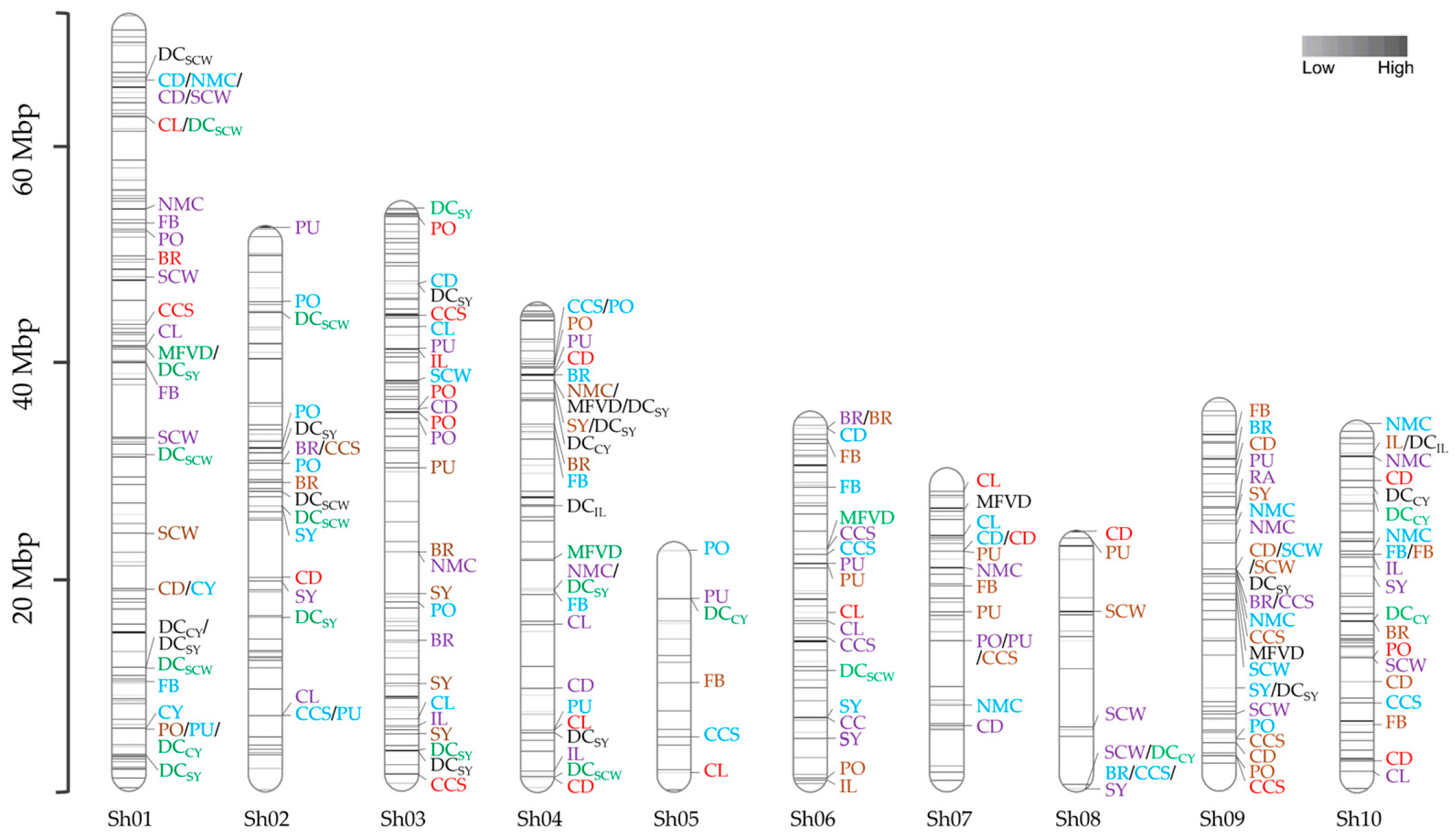 Ijms 24 12801 g002 Ijms 24 12801 g002