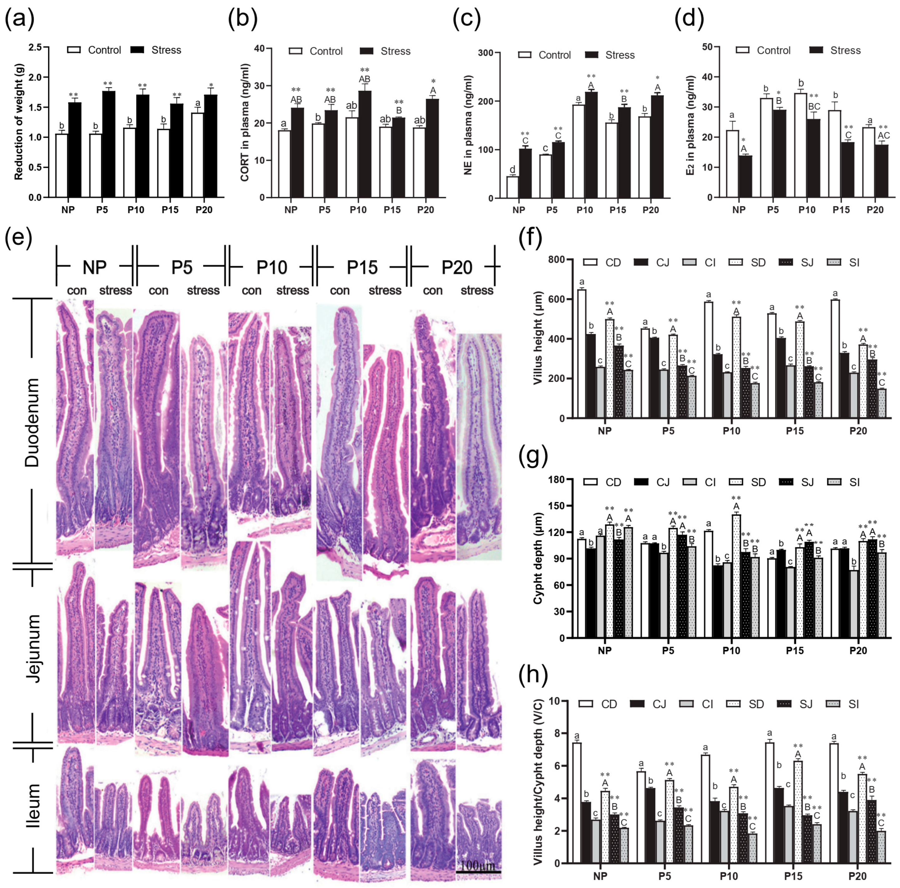 Ijms 24 12822 g001 Ijms 24 12822 g001