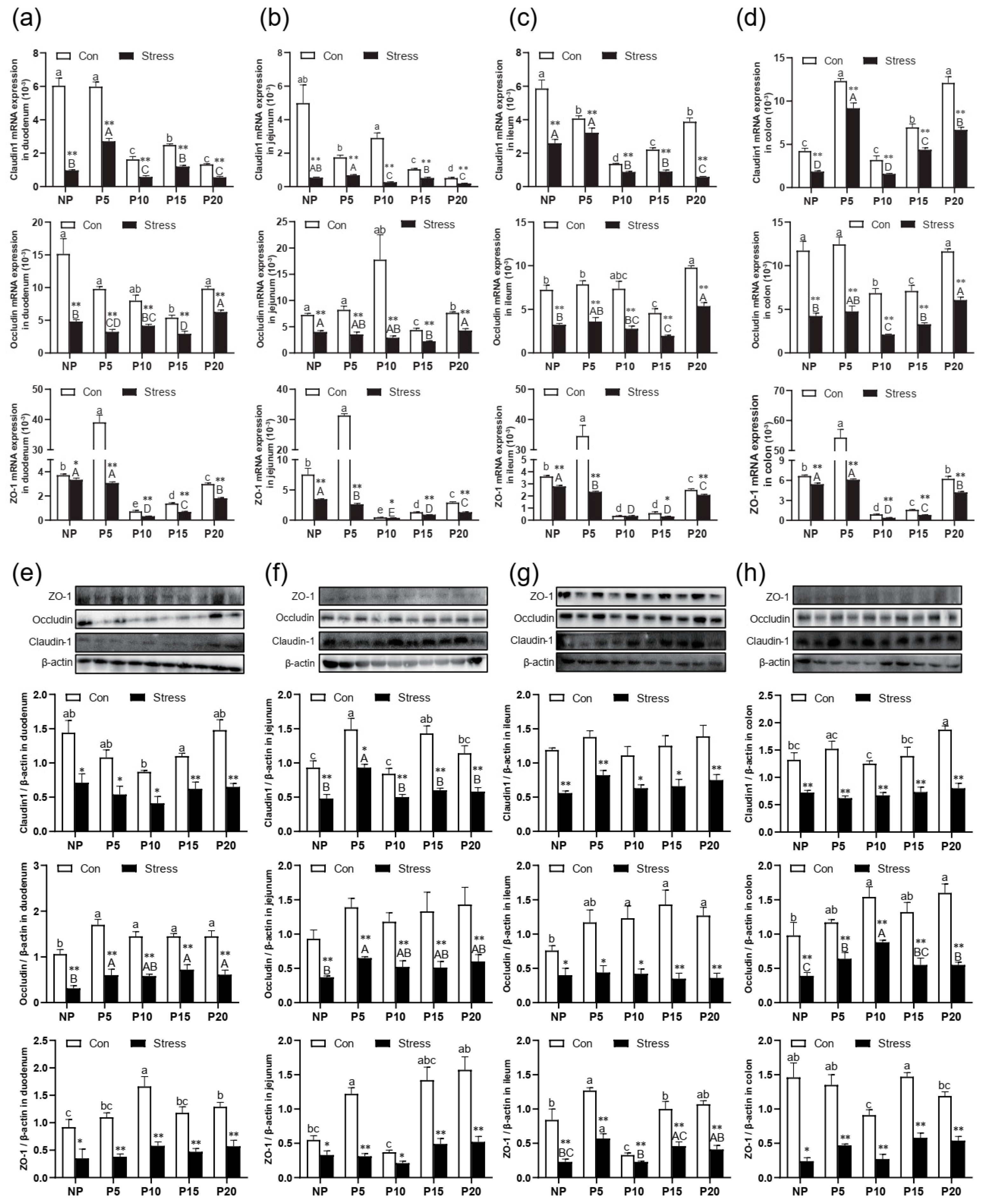 Ijms 24 12822 g002 Ijms 24 12822 g002