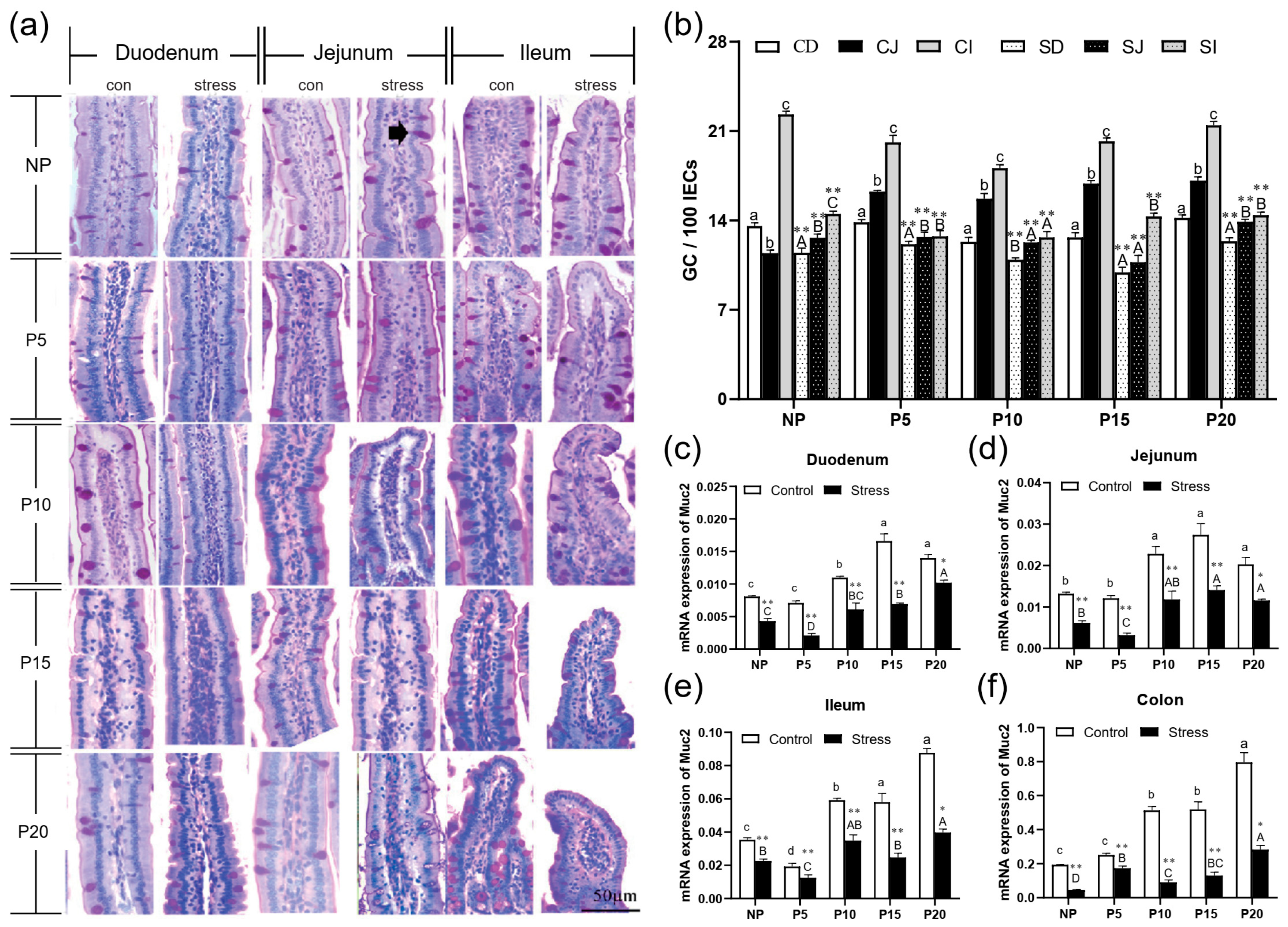 Ijms 24 12822 g004 Ijms 24 12822 g004