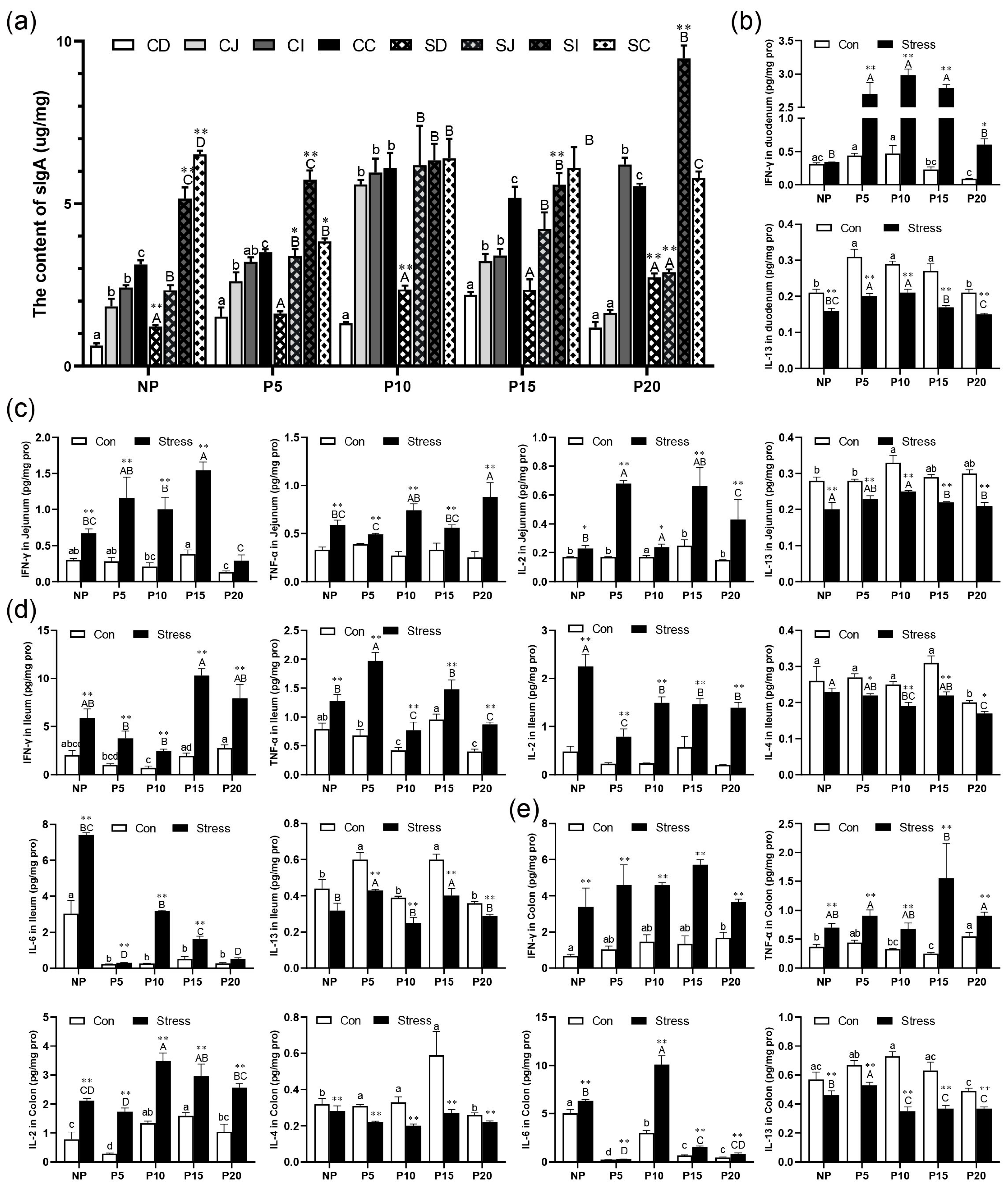 Ijms 24 12822 g005 Ijms 24 12822 g005