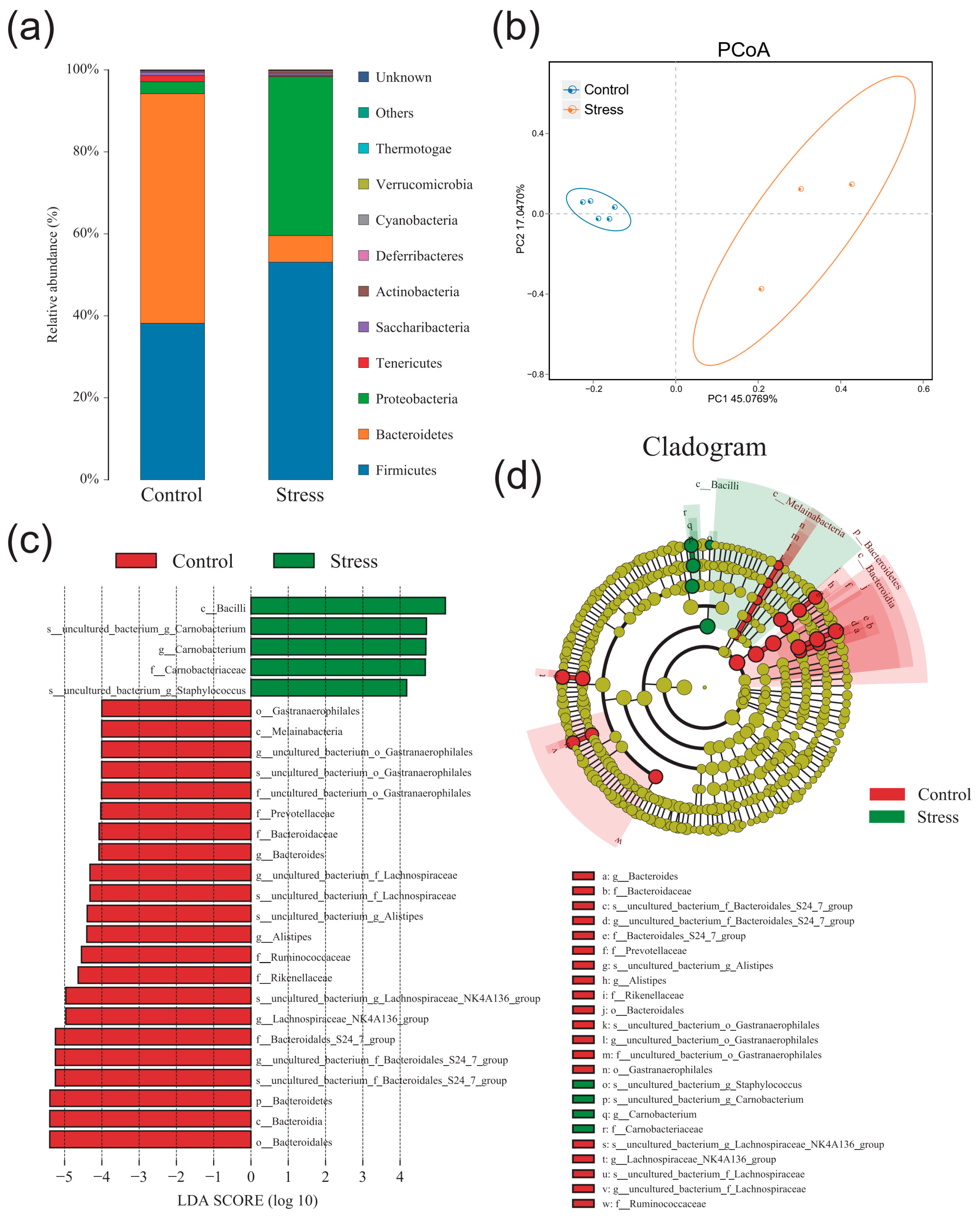Ijms 24 12822 g006 Ijms 24 12822 g006