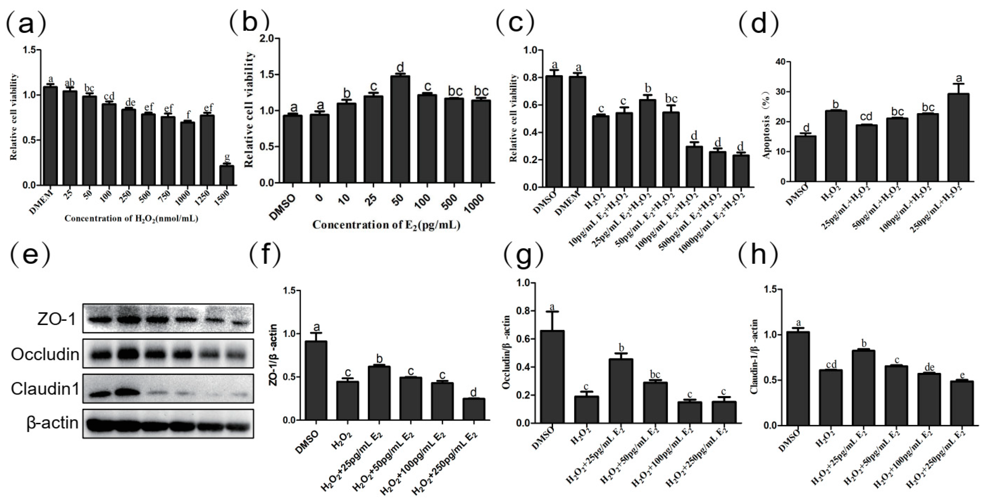 Ijms 24 12822 g007 Ijms 24 12822 g007