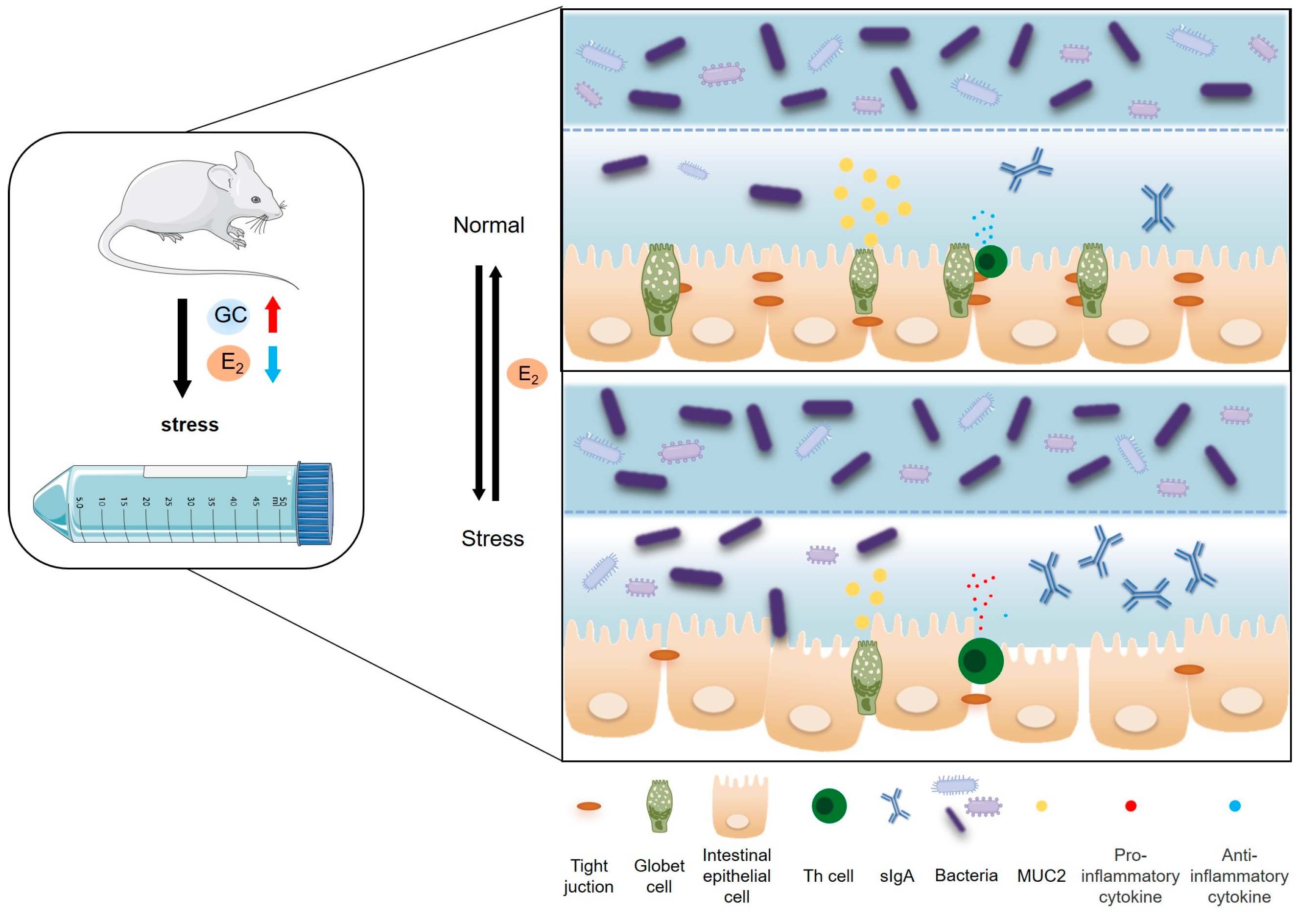 Ijms 24 12822 g008 Ijms 24 12822 g008