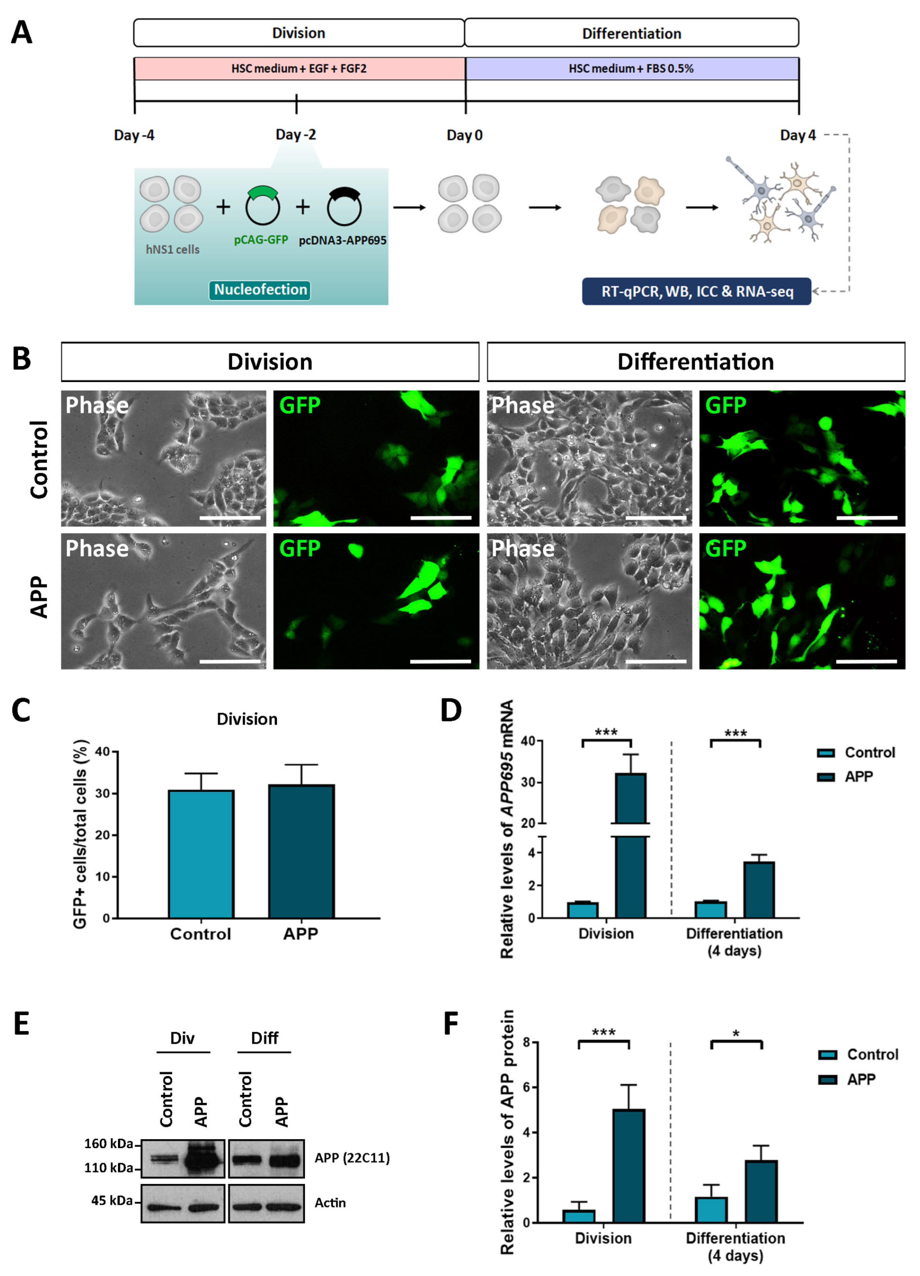 Ijms 24 12964 g001 Ijms 24 12964 g001