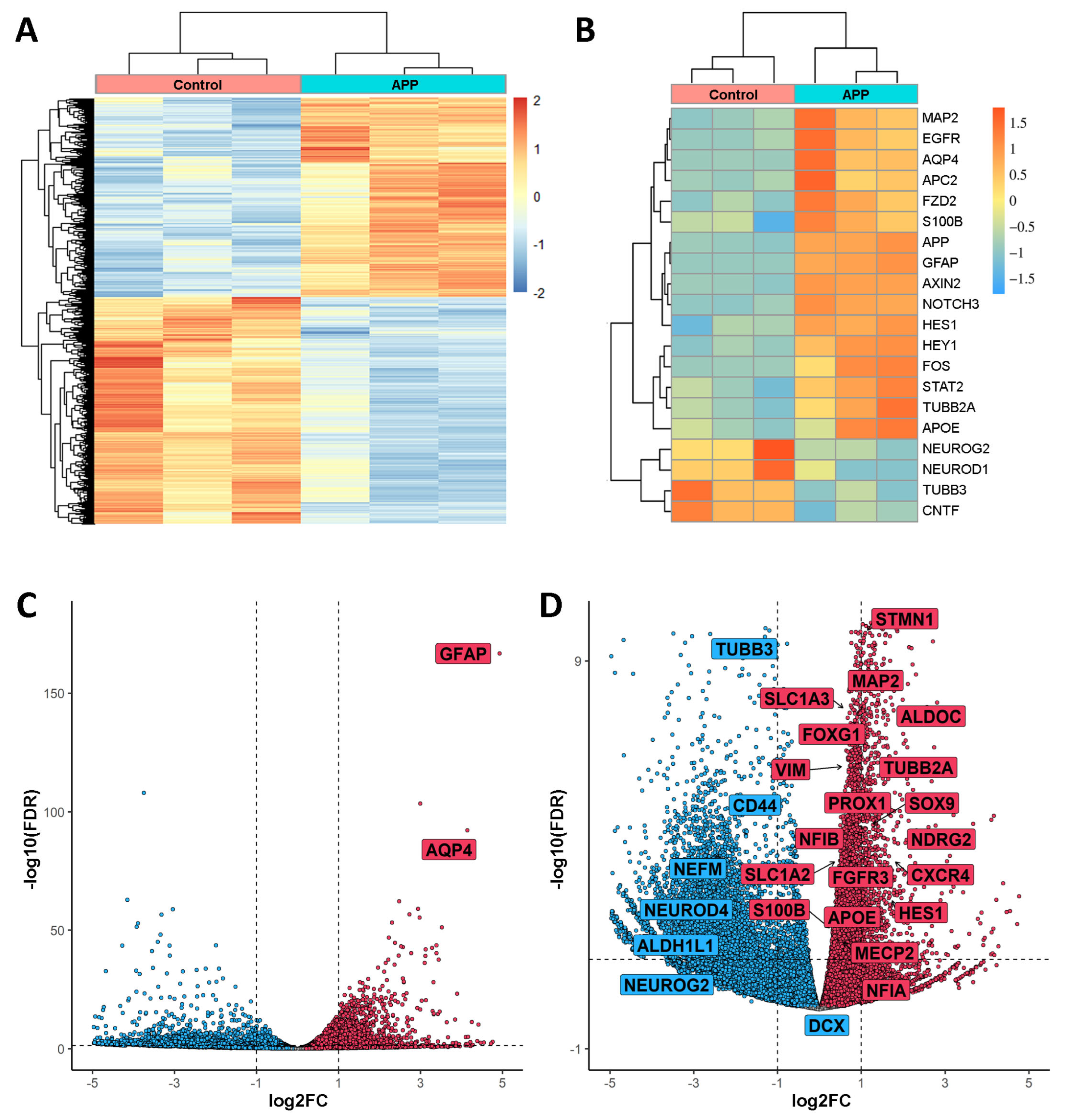 Ijms 24 12964 g002 Ijms 24 12964 g002