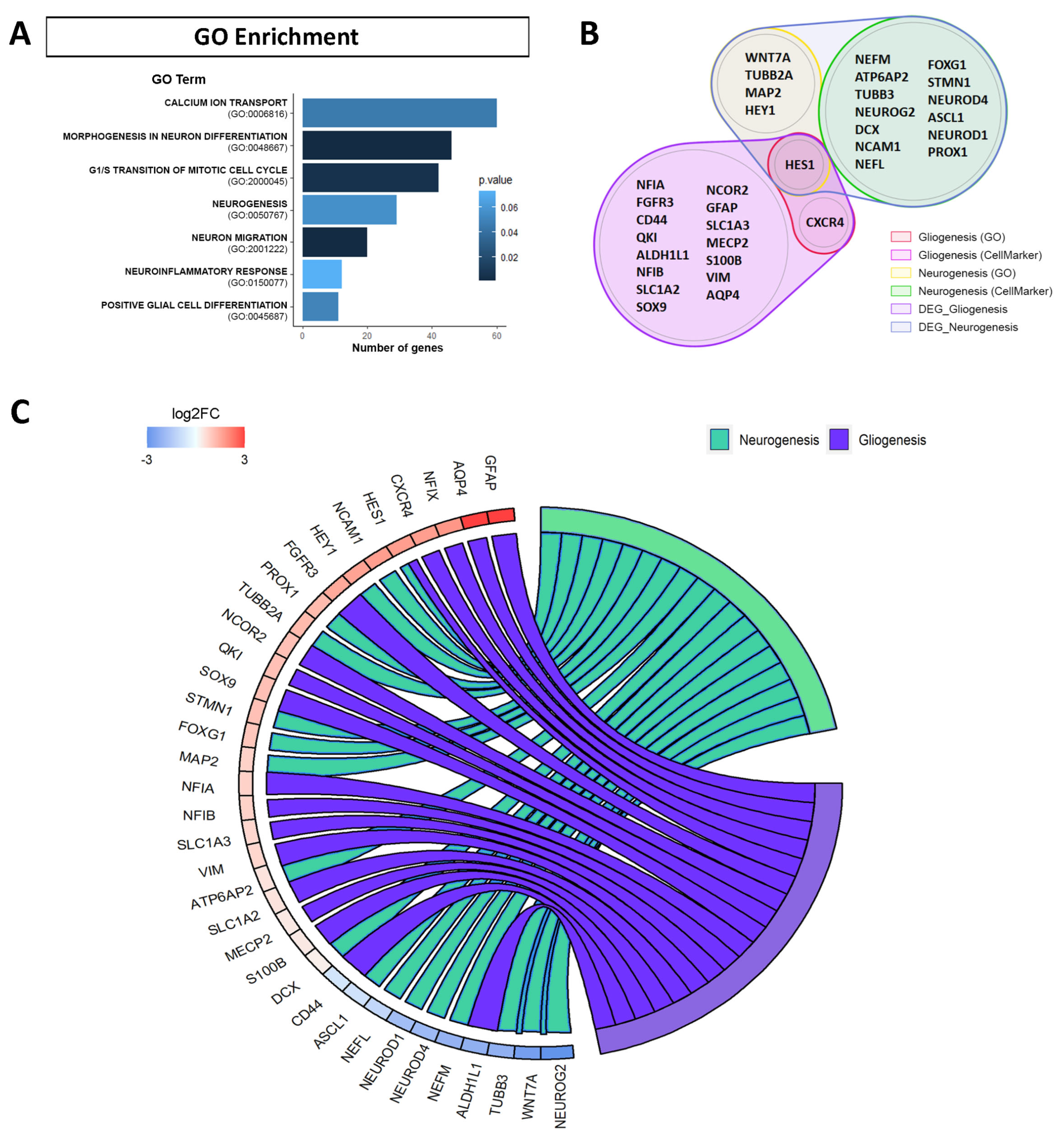 Ijms 24 12964 g003 Ijms 24 12964 g003