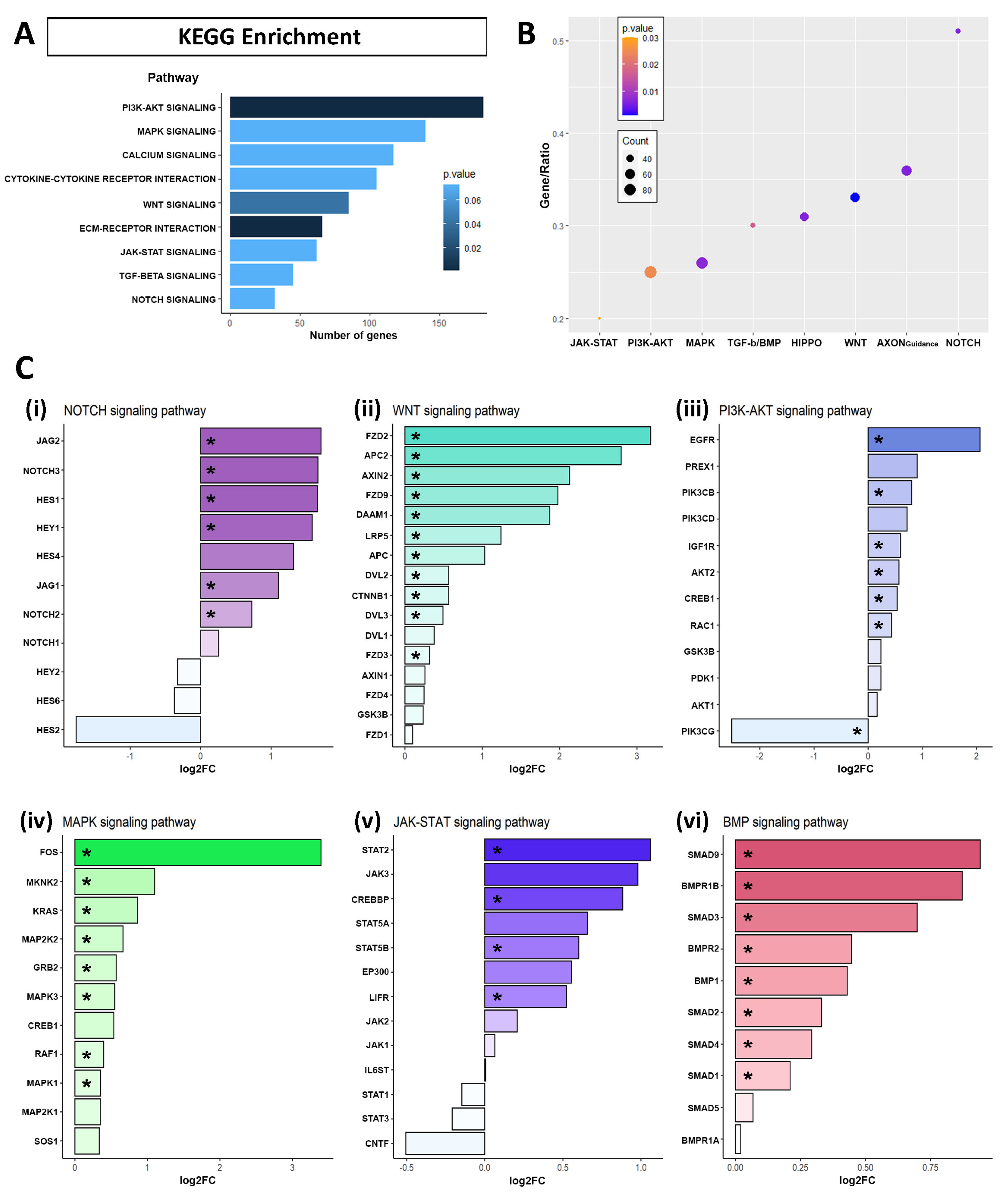 Ijms 24 12964 g004 Ijms 24 12964 g004