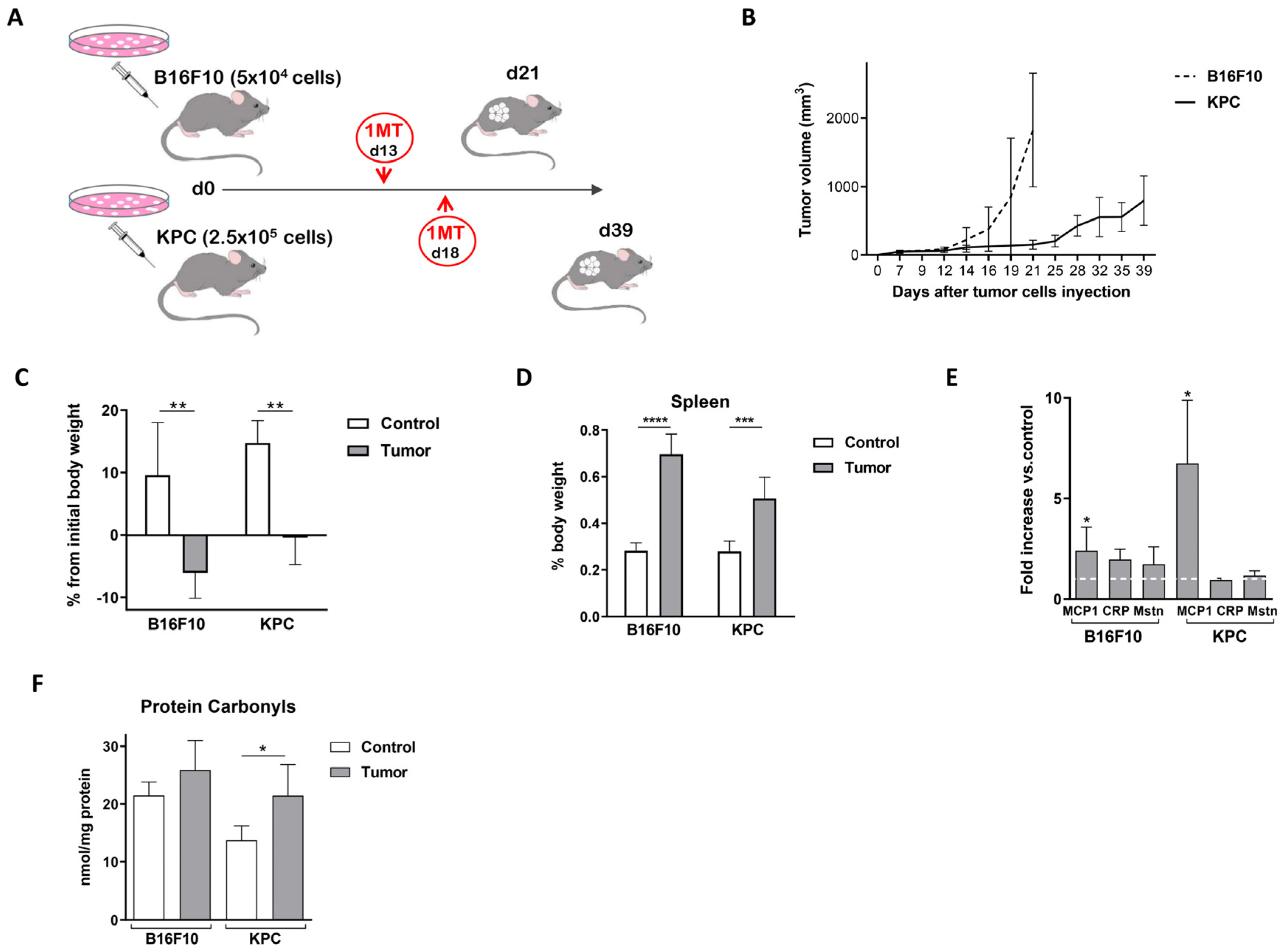 Ijms 24 13005 g001 Ijms 24 13005 g001