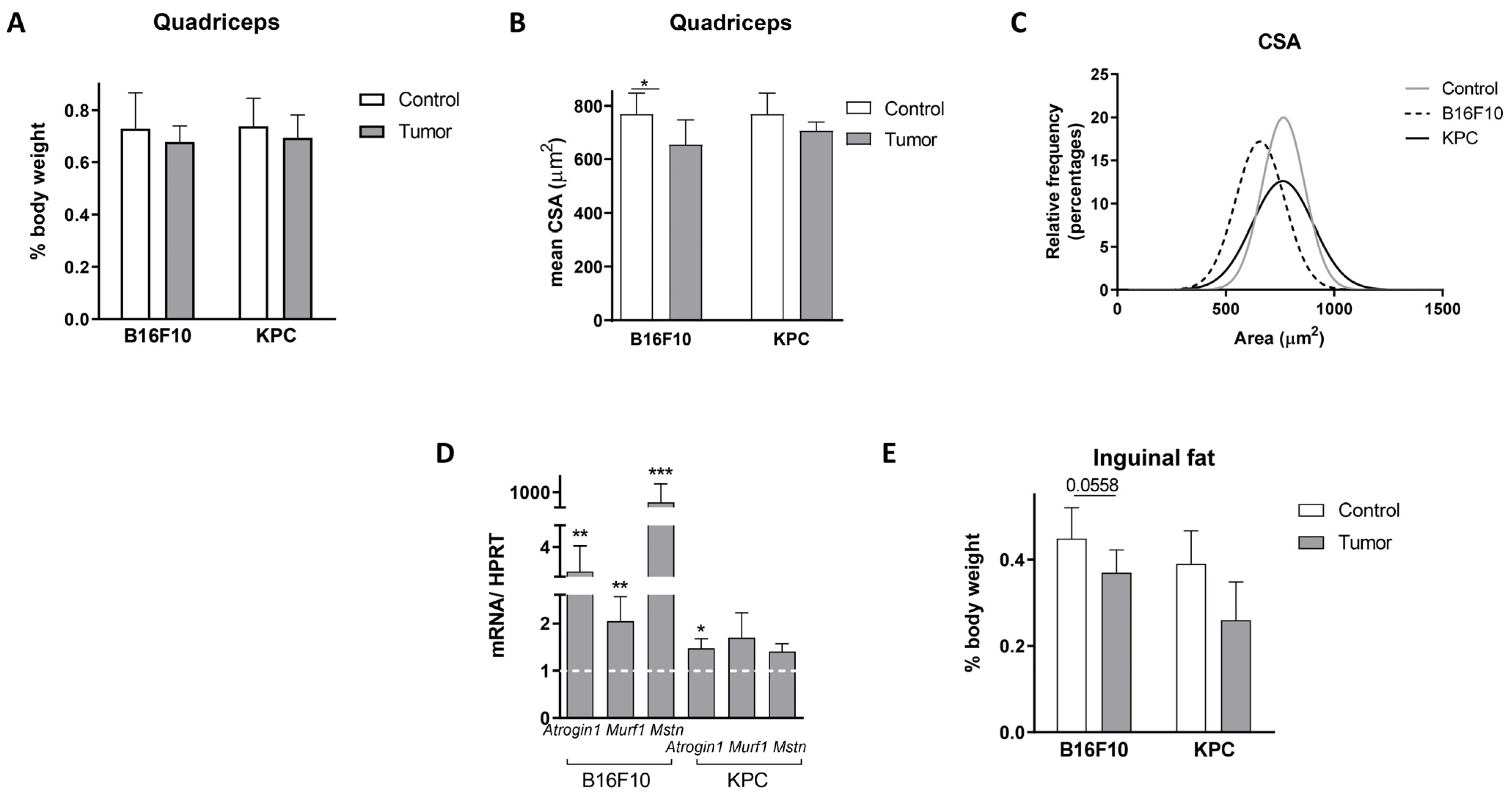Ijms 24 13005 g002 Ijms 24 13005 g002