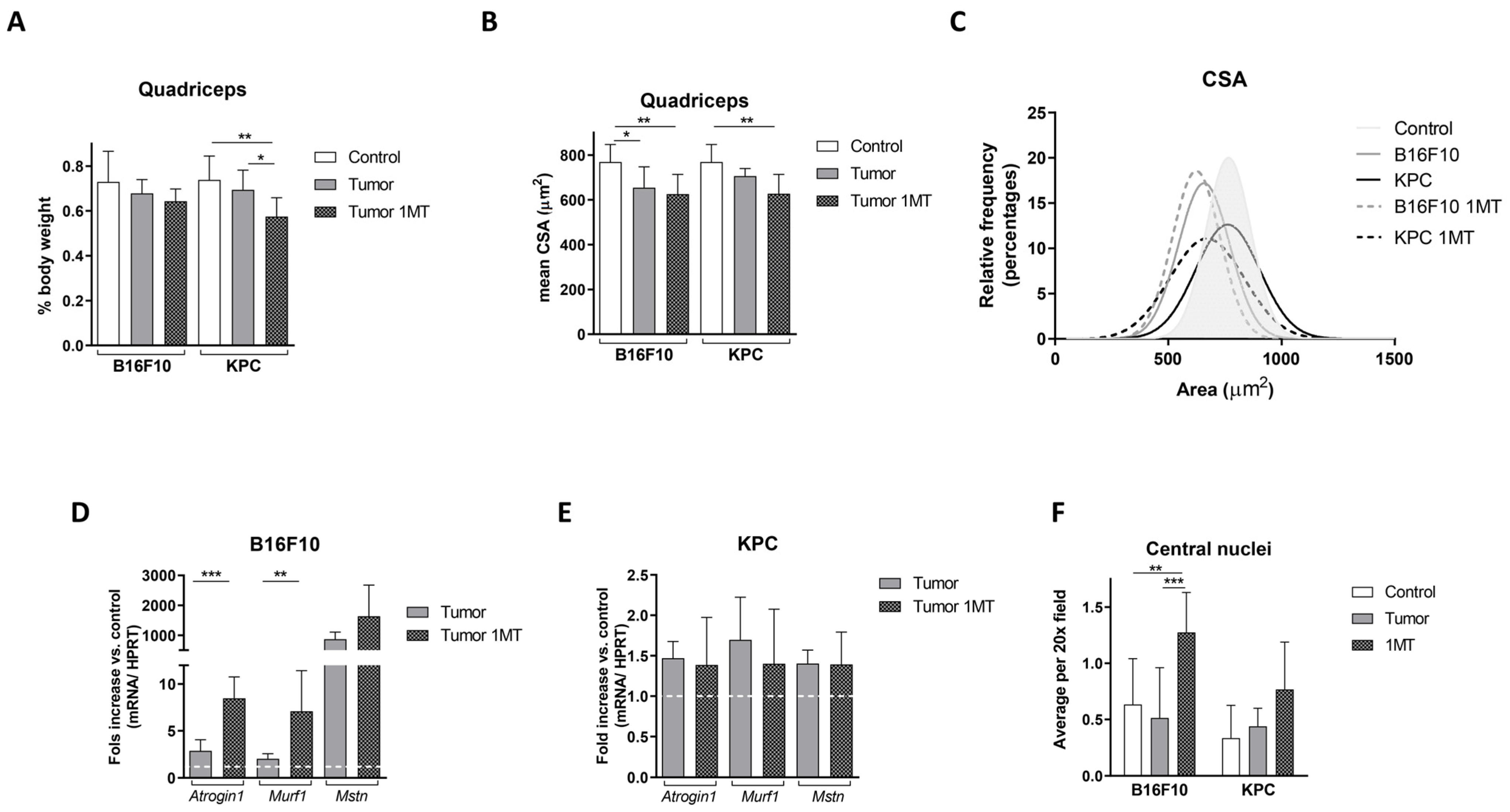 Ijms 24 13005 g007 Ijms 24 13005 g007