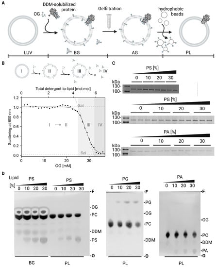 Ijms 24 13106 g0a1 Ijms 24 13106 g0a1