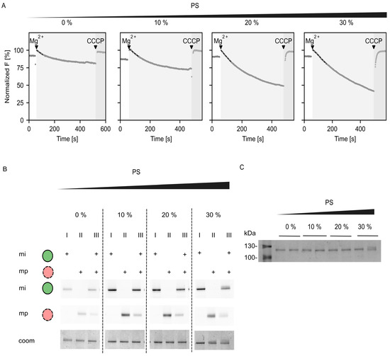 Ijms 24 13106 g0a3 Ijms 24 13106 g0a3
