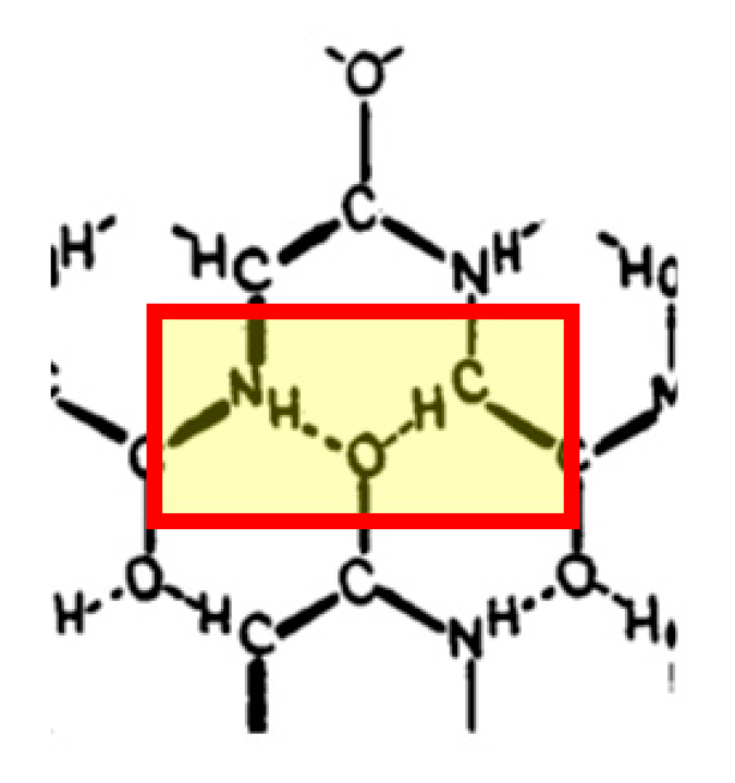 Ijms 24 13165 g001