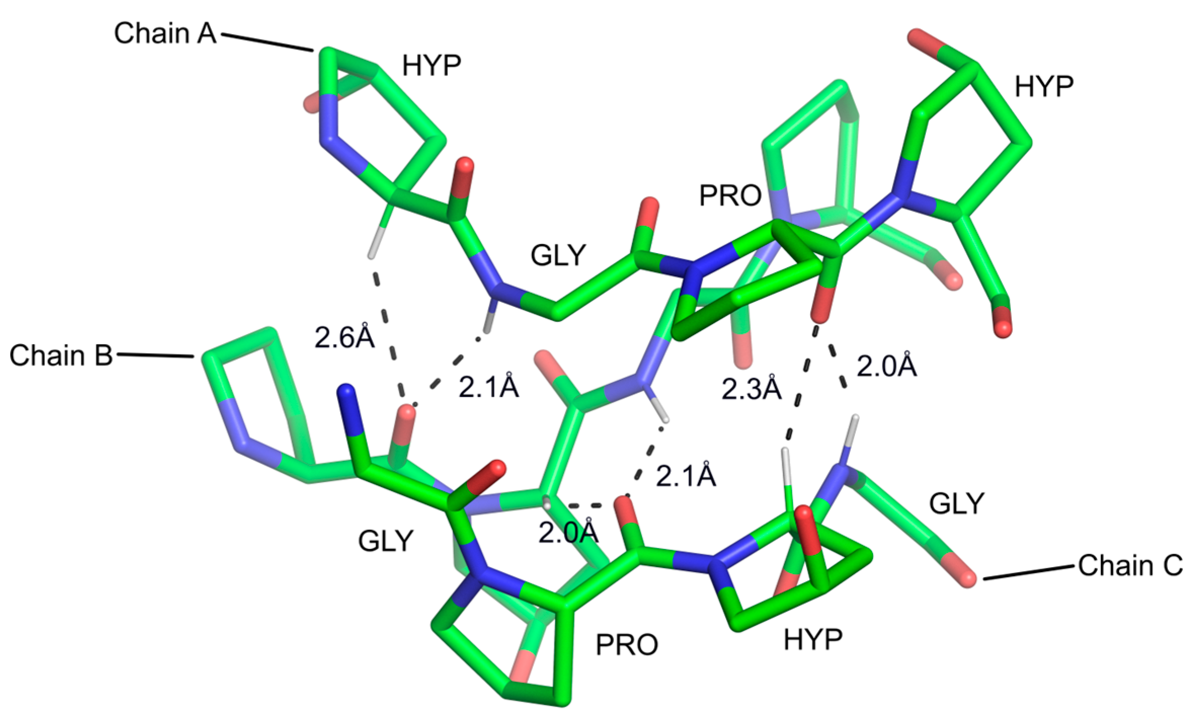 Ijms 24 13165 g003