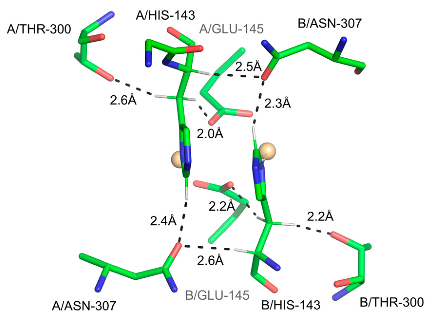 Ijms 24 13165 g005