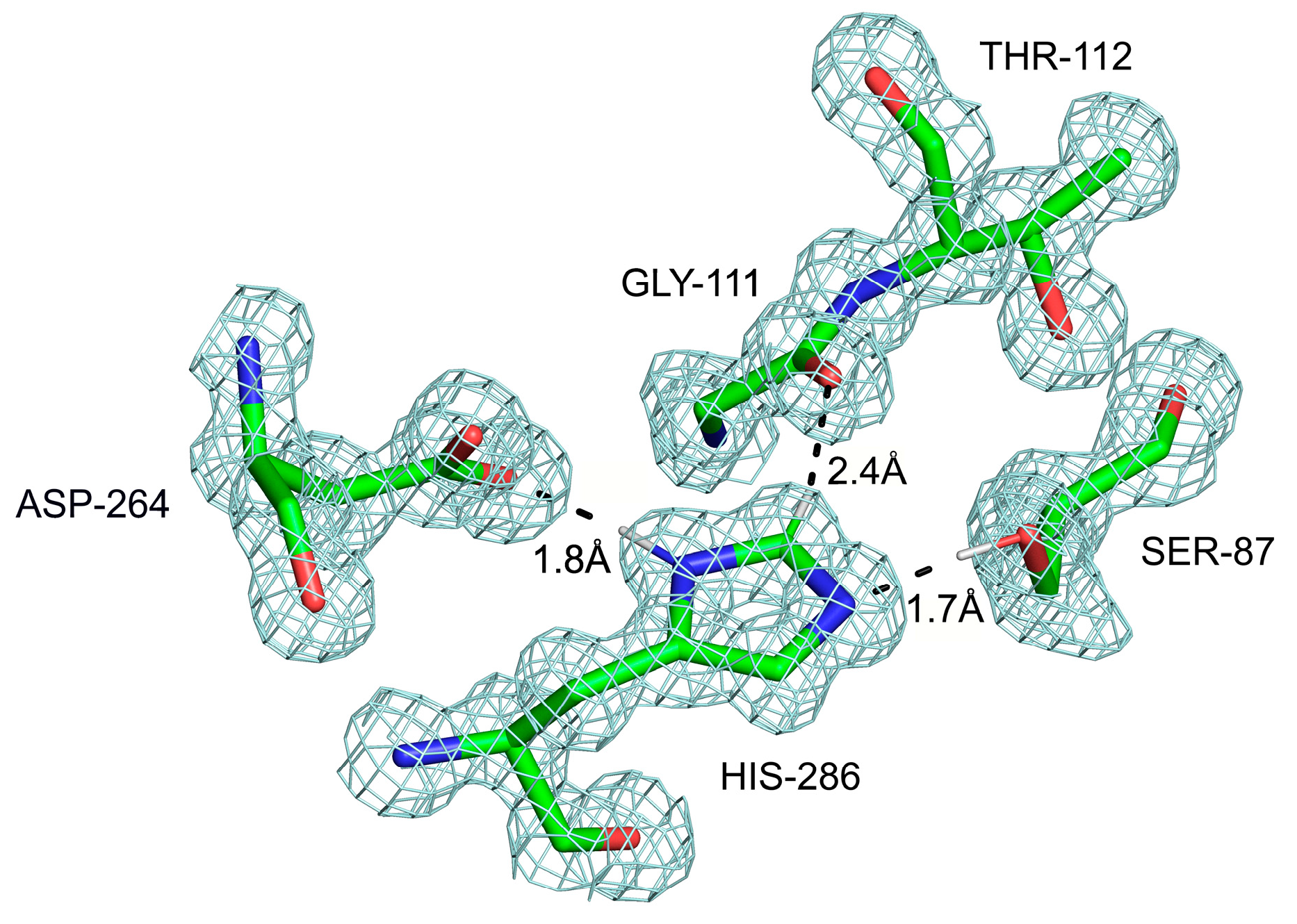 Ijms 24 13165 g006