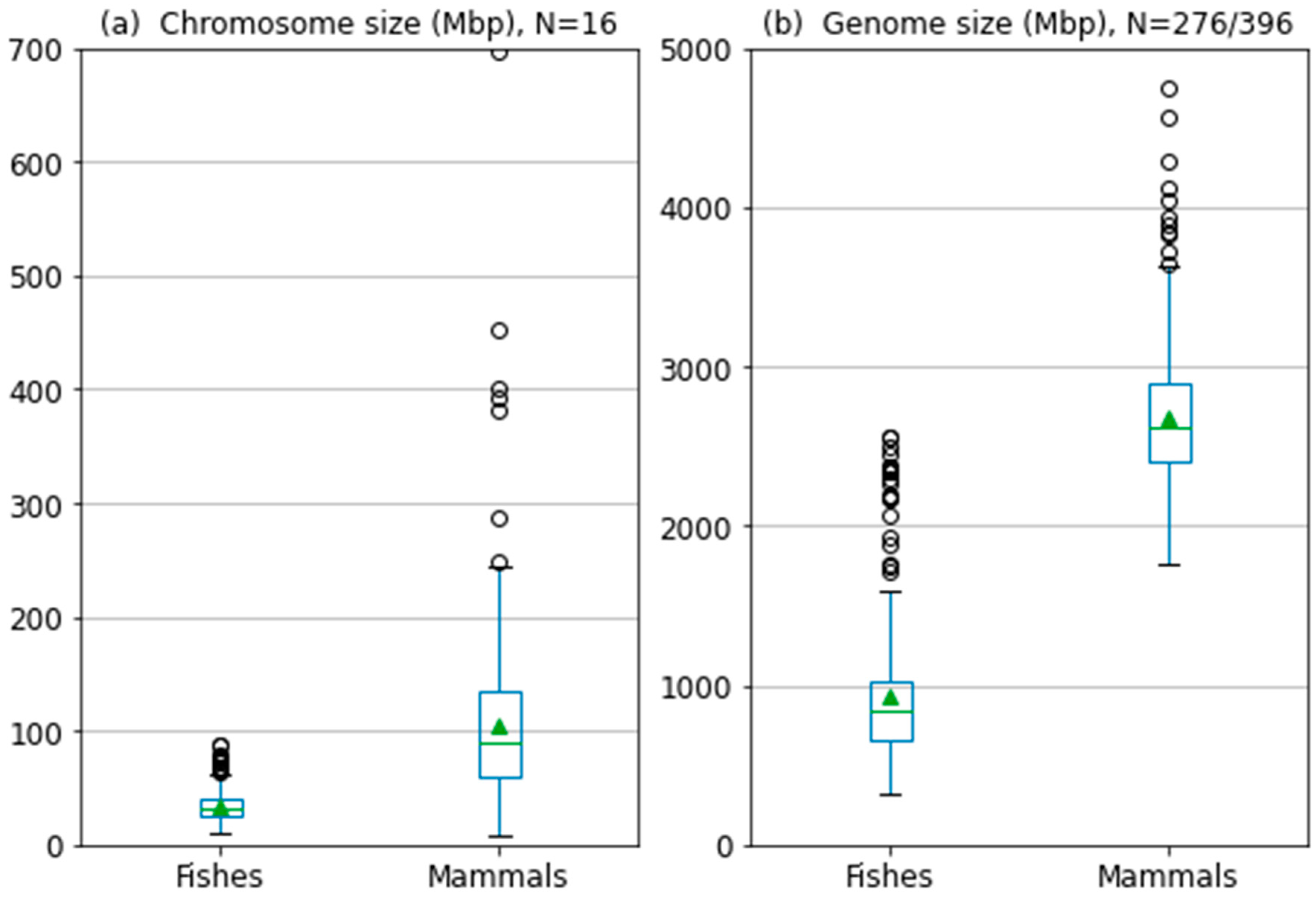 Ijms 24 13167 g006 Ijms 24 13167 g006