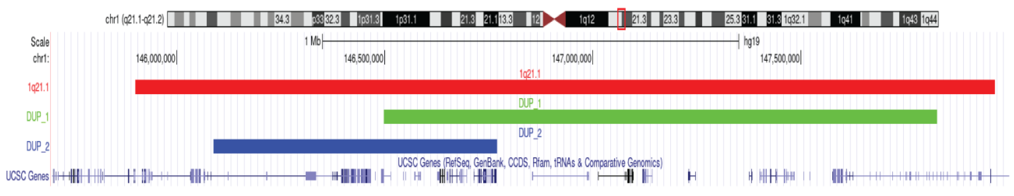 Ijms 24 13248 g002 Ijms 24 13248 g002