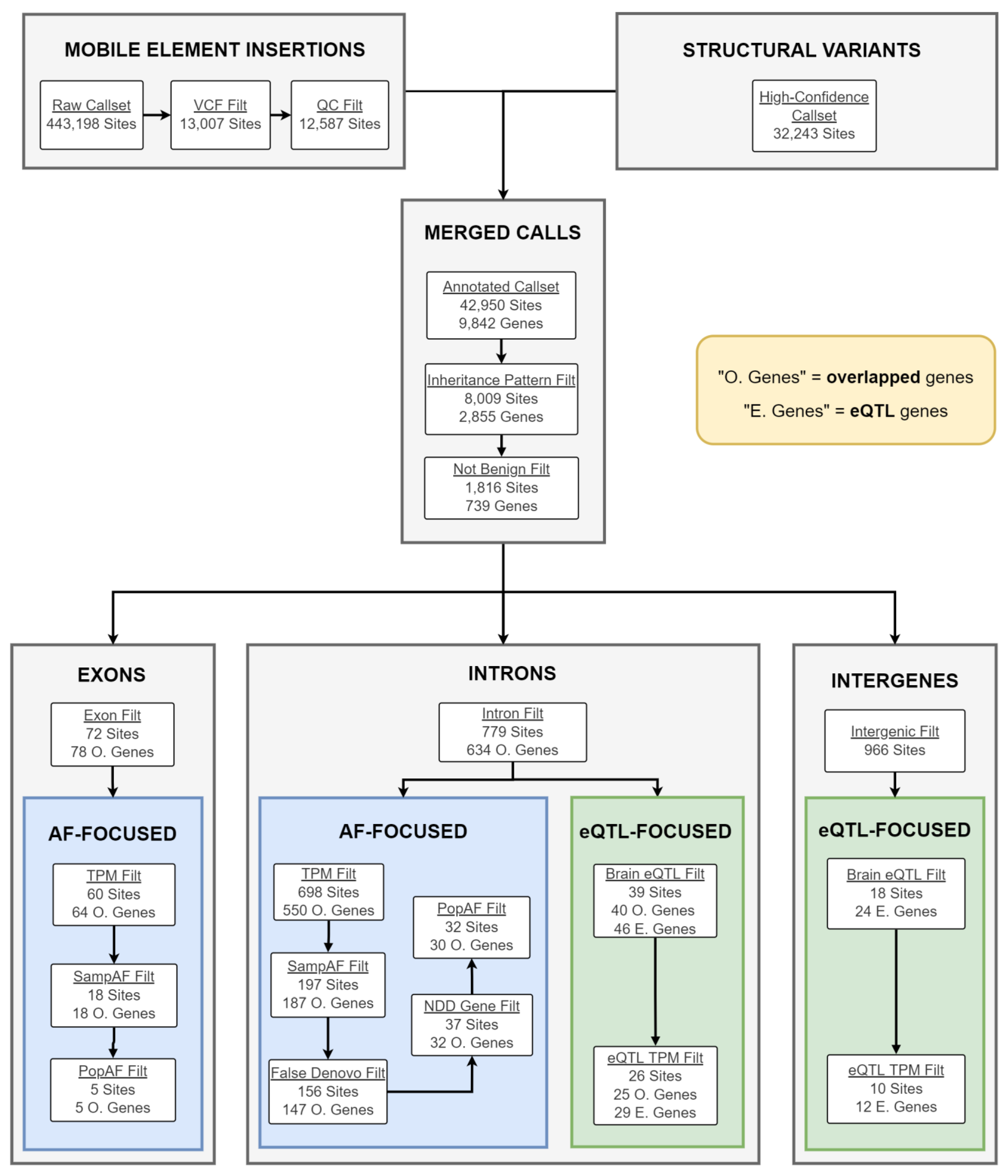 Ijms 24 13248 g003 Ijms 24 13248 g003