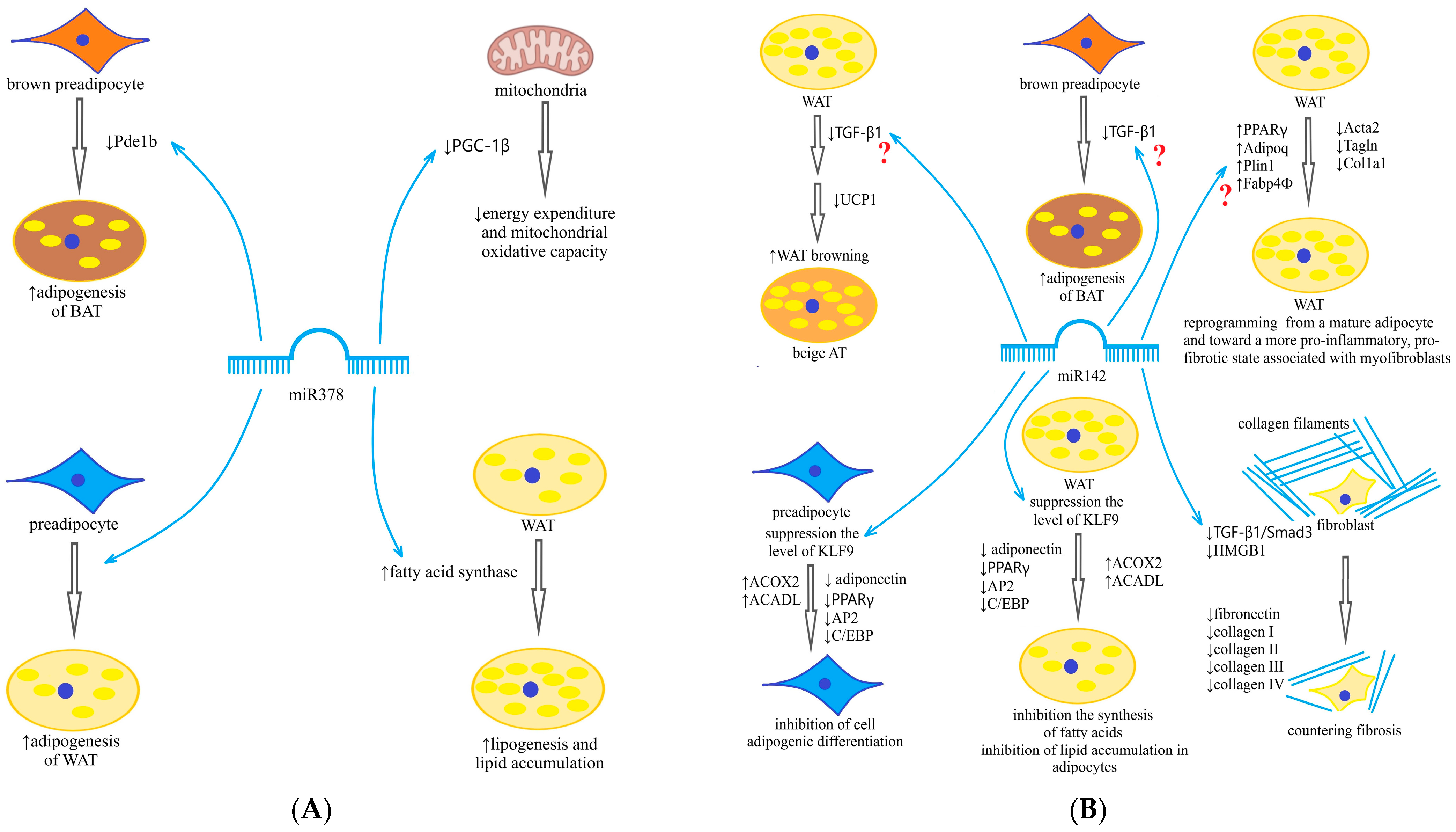 Ijms 24 13426 sch001