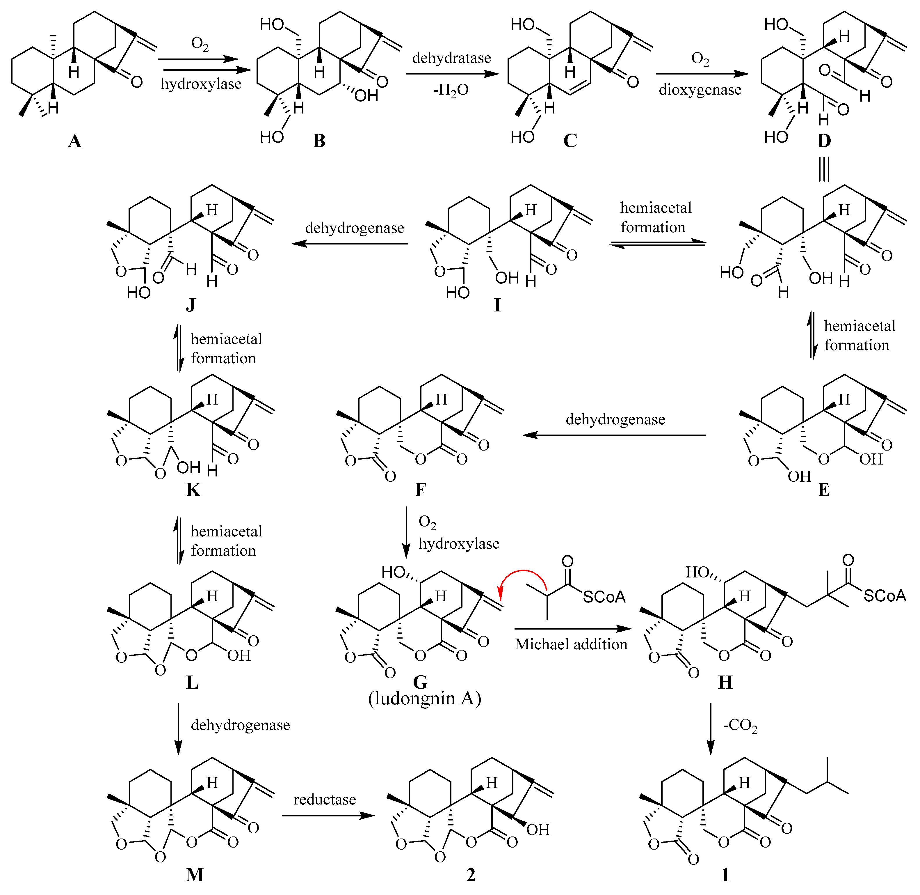 Ijms 24 13451 sch001