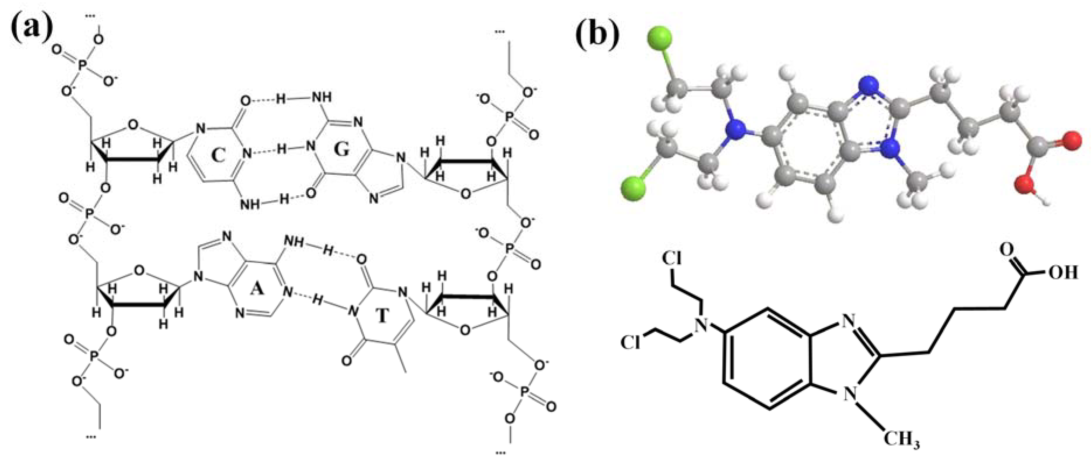 Ijms 24 13517 g001 Ijms 24 13517 g001