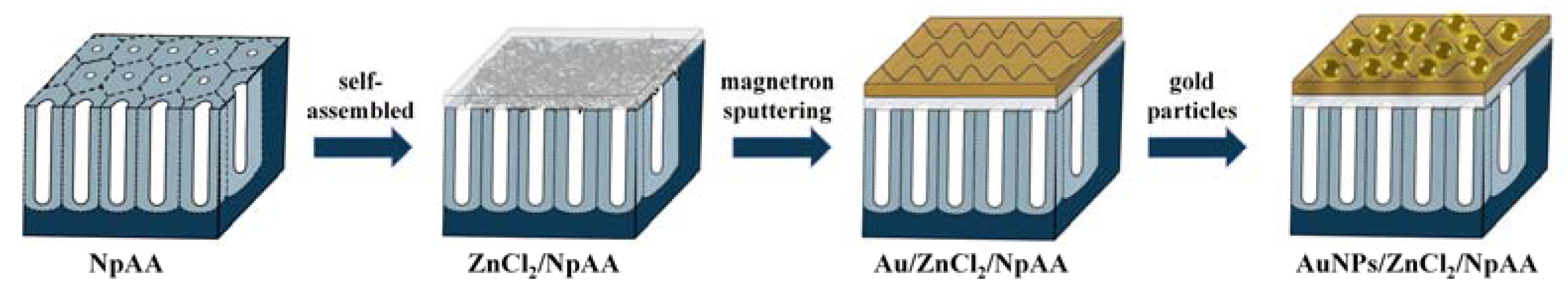 Ijms 24 13517 g002 Ijms 24 13517 g002