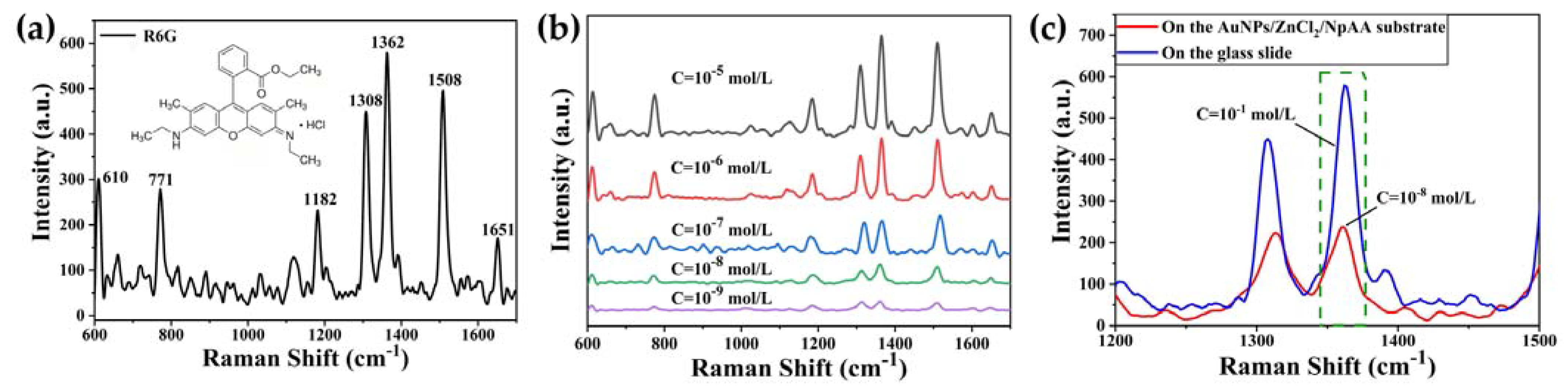 Ijms 24 13517 g004 Ijms 24 13517 g004