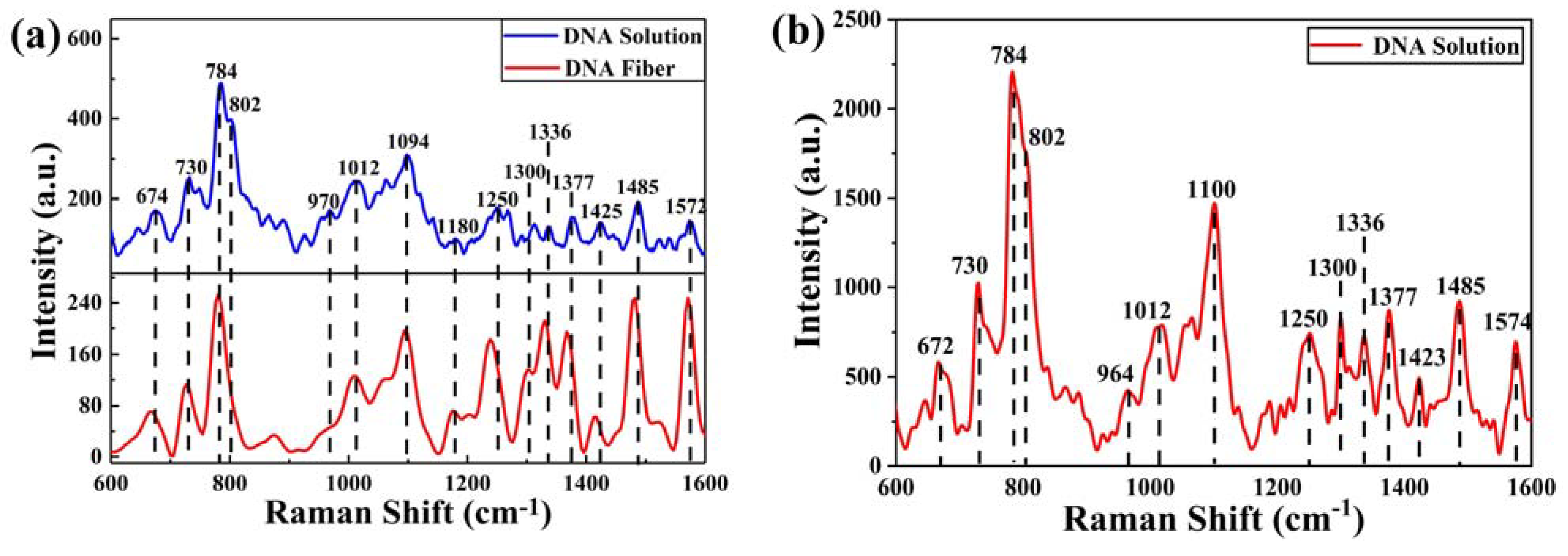 Ijms 24 13517 g005 Ijms 24 13517 g005