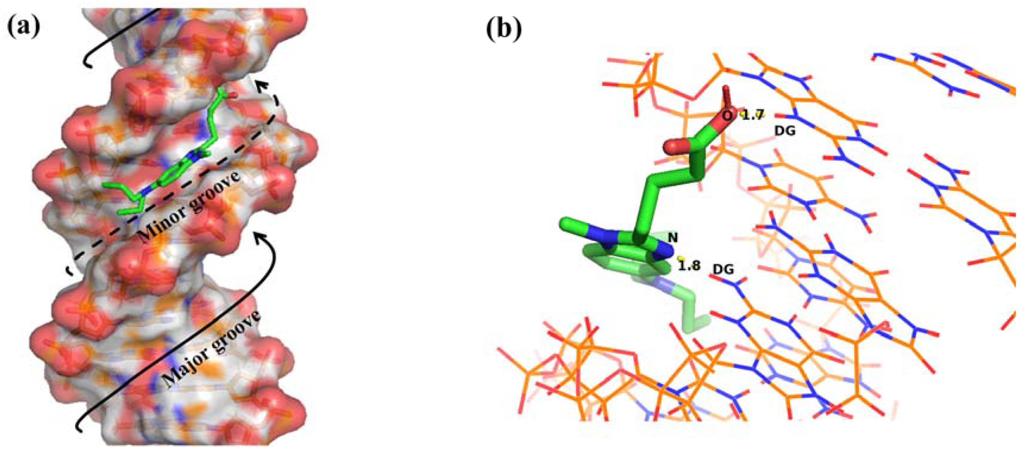 Ijms 24 13517 g009 Ijms 24 13517 g009