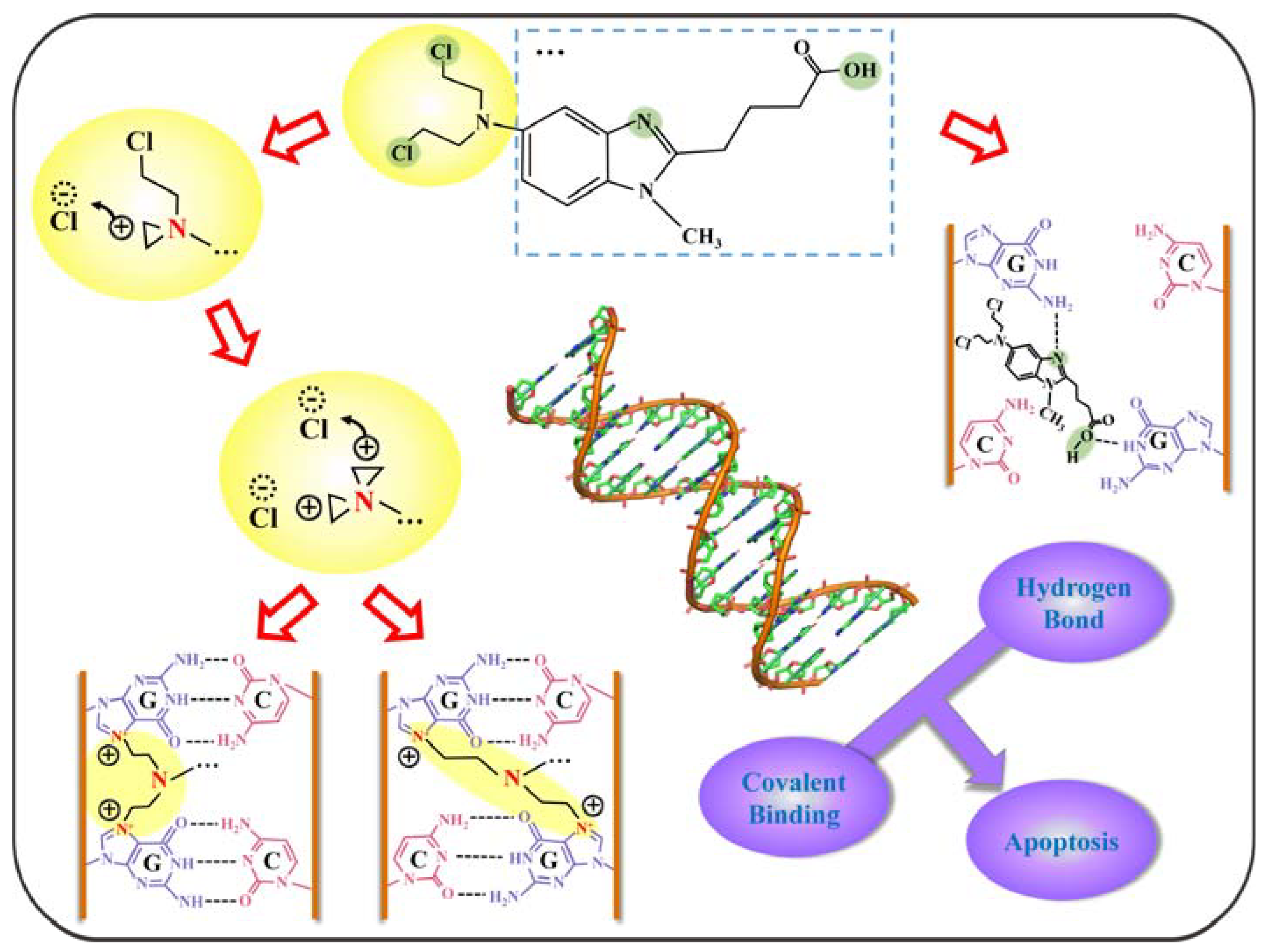 Ijms 24 13517 g010 Ijms 24 13517 g010