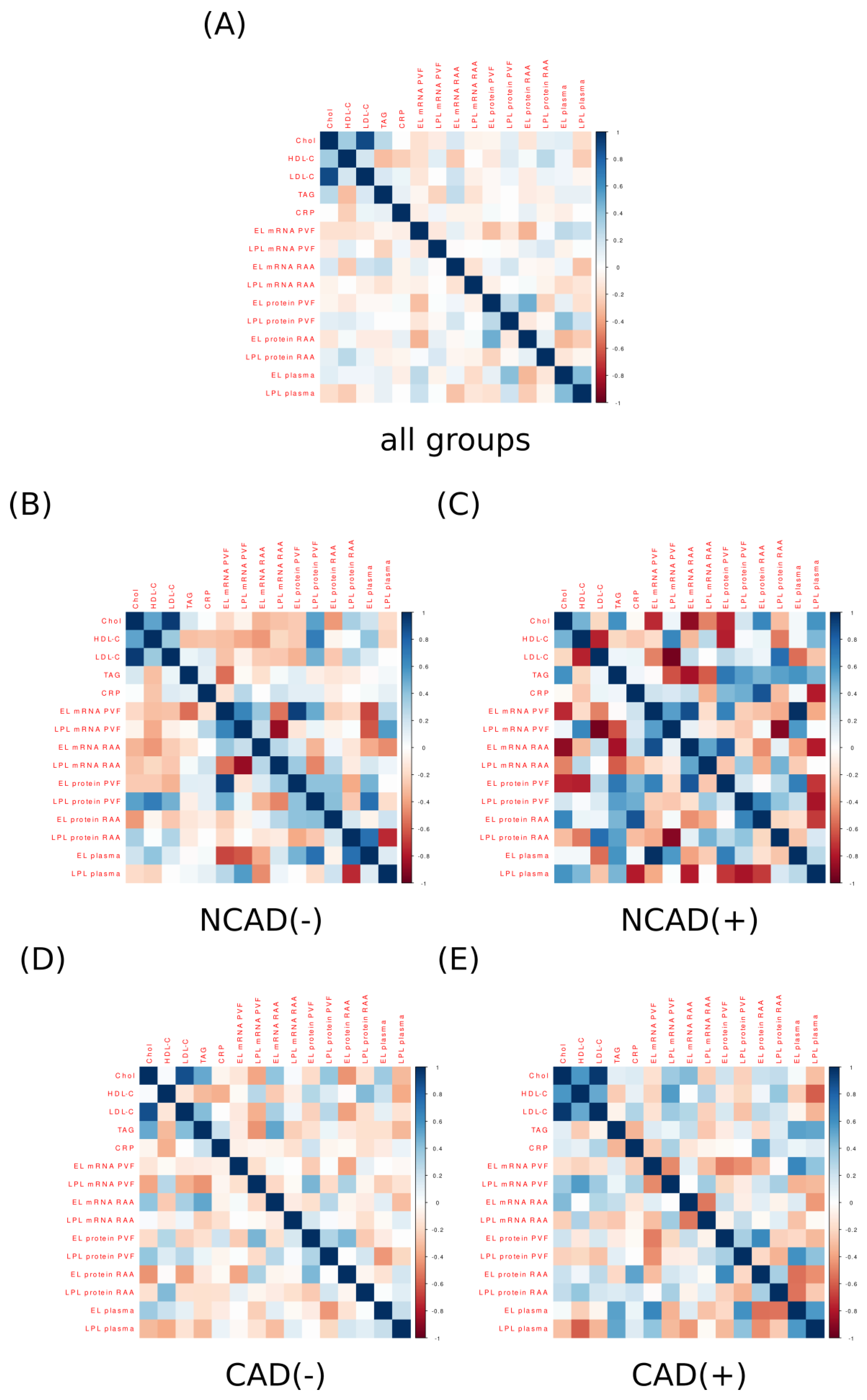 Ijms 24 13552 g007 Ijms 24 13552 g007